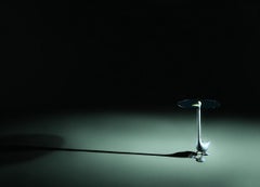 Zanotta Edizioni Sirfo Goose Table in Natural Frame by Alessandro Mendini