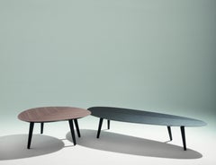 Zanotta Large Tweed Mini Table in Canaletto Walnut Top with Black Frame