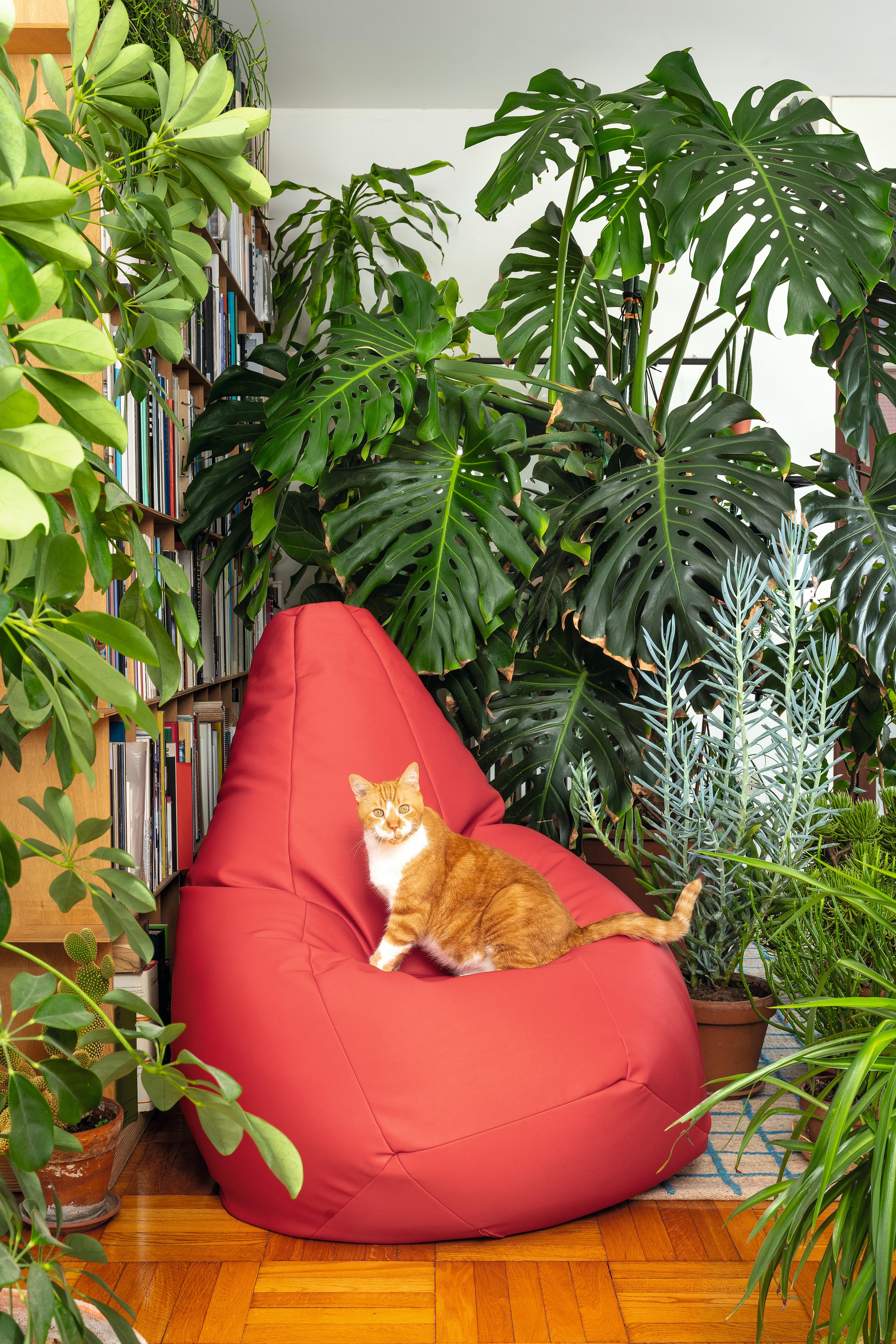 Tissu d'ameublement Zanotta Sacco moyen en tissu vert Vip de Gatti, Paolini, Teodoro en vente