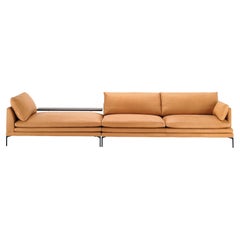 Zanotta William Modular Sofa in Brown Leather with Black Steel Frame