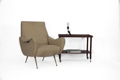 Zanuso Midcentury Lady Chair Italy 1960s, Brass Legs, Add Value