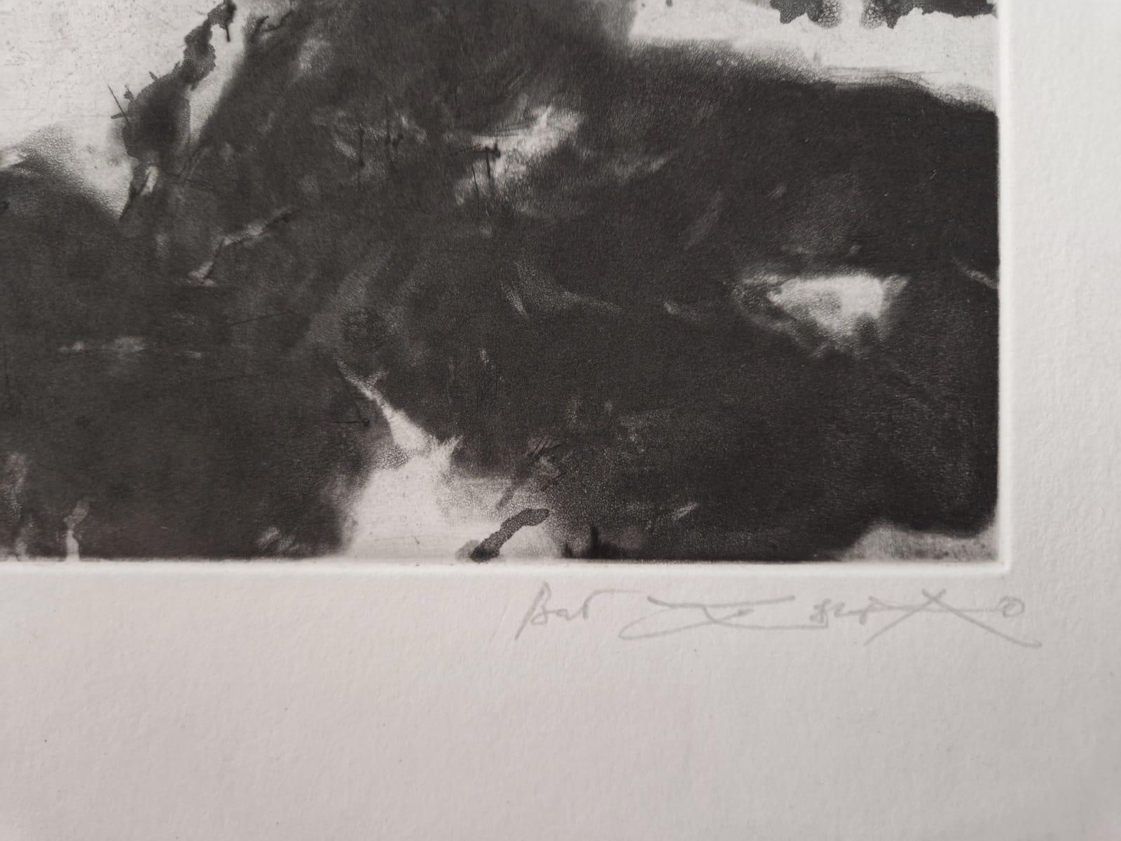 A Mightier Way - Incisione originale firmata a mano - PROVA UNICA (Agerup #370) - Print di Zao Wou-Ki