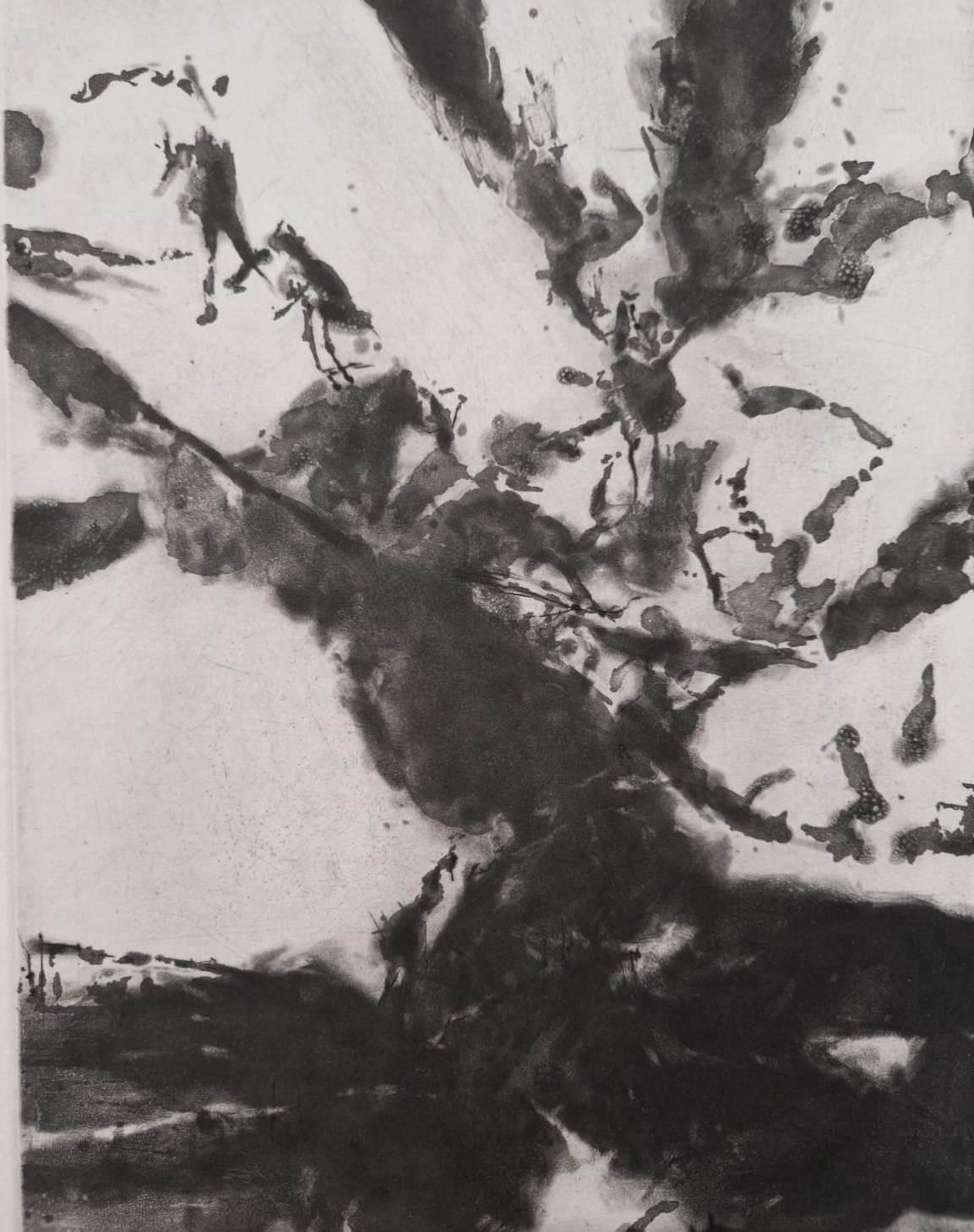 A Mightier Way - Incisione originale firmata a mano - PROVA UNICA (Agerup #370) - Print Astratto di Zao Wou-Ki