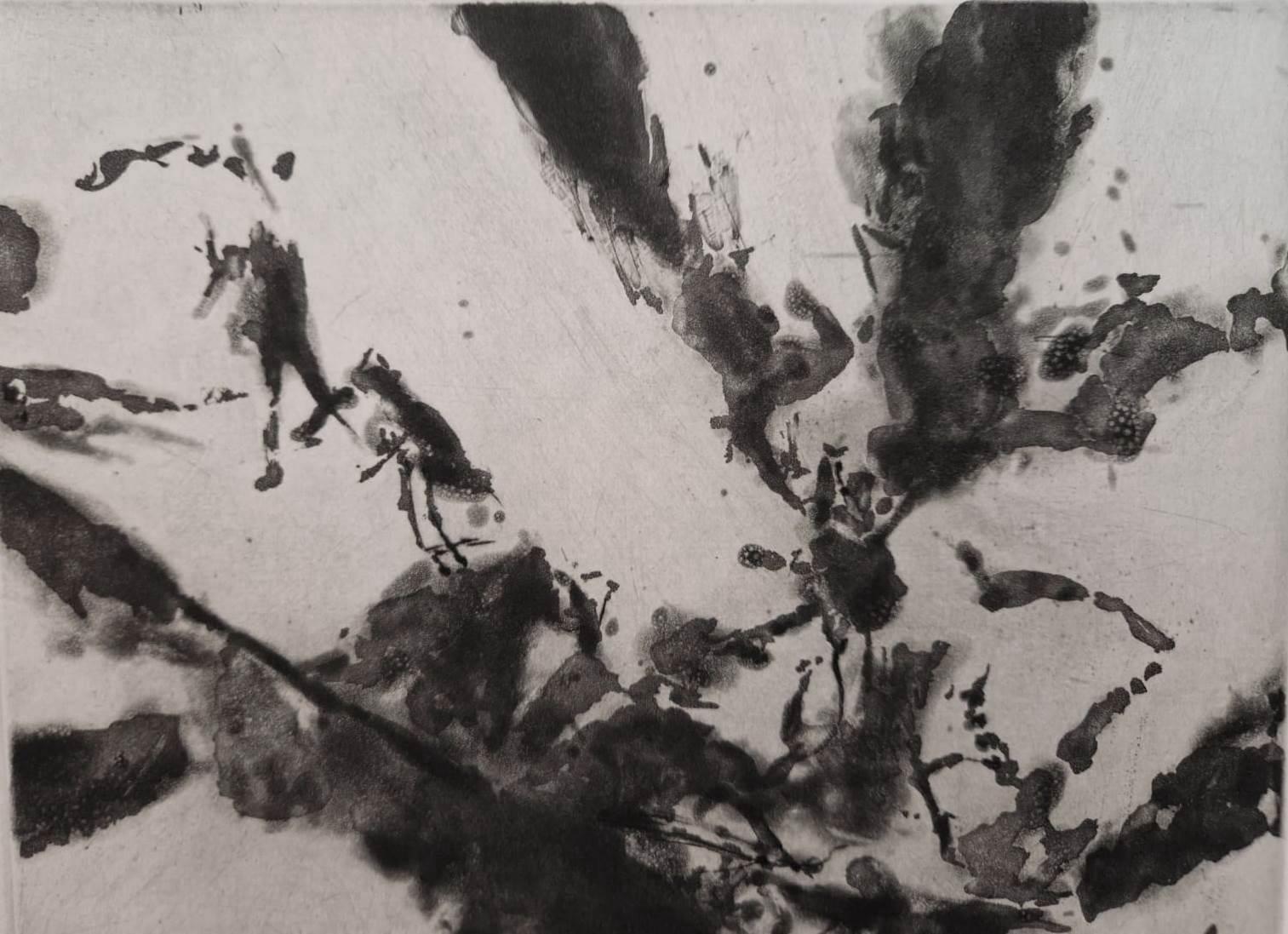 Zao Wou-Ki (1920-2013)
Shakespeare: Ma perché non fai un modo più potente, 1994

Acquaforte originale all'acquatinta (Atelier Lacourière er Frélaut)
Firmato a matita
BAT giustificato (Bon à tirer)
Su Moulin du Gué vellum 35 x 28 cm (c. 14 x 11