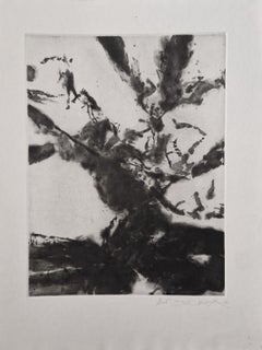 A Mightier Way - Original handsigned etching - UNIQUE PROOF (Agerup #370)