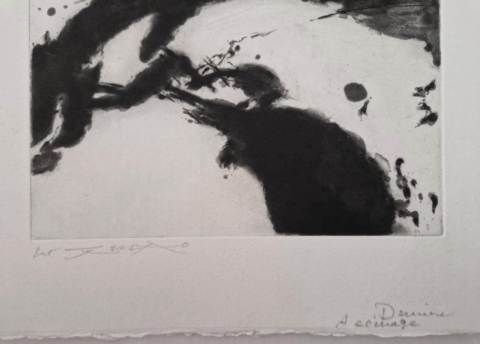 A Woman's face - Original handsigned etching - UNIQUE PROOF (Agerup #371) - Print by Zao Wou-Ki