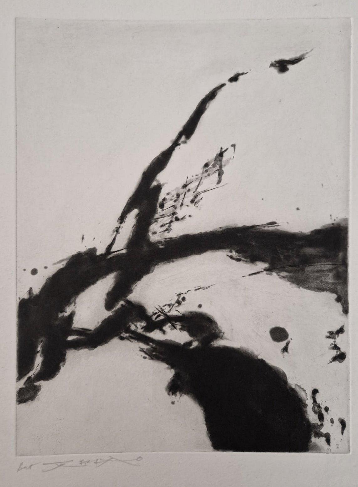 A Woman's face - Original handsigned etching - UNIQUE PROOF (Agerup #371) - Gray Abstract Print by Zao Wou-Ki