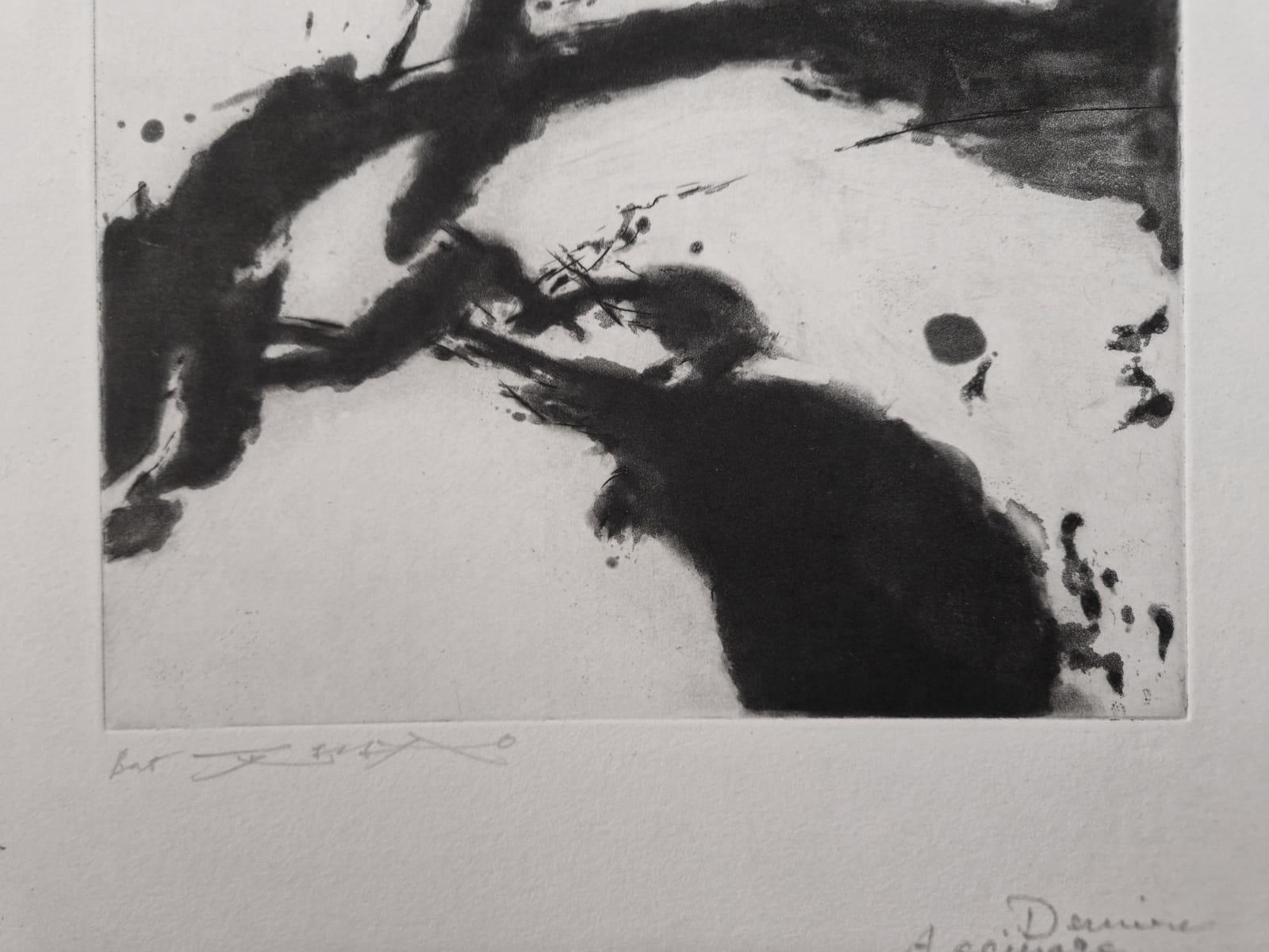 ZAO Wou-Ki (1920-2013)
Shakespeare: A Woman's face, 1994

Original aquatint etching (Atelier Lacourière er Frélaut)
Signed in pencil
Justified BAT (Bon à tirer)
On Moulin du Gué vellum 35 x 28 cm (c. 14 x 11 in)

REFERENCES: Catalogue raisonne