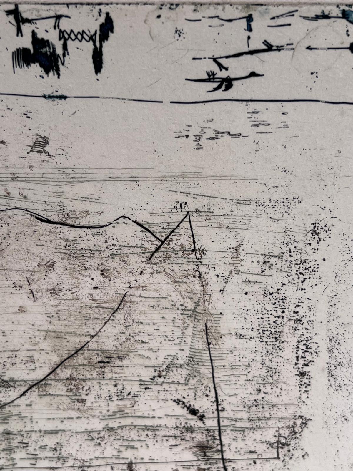 Flore et faune For Sale 1