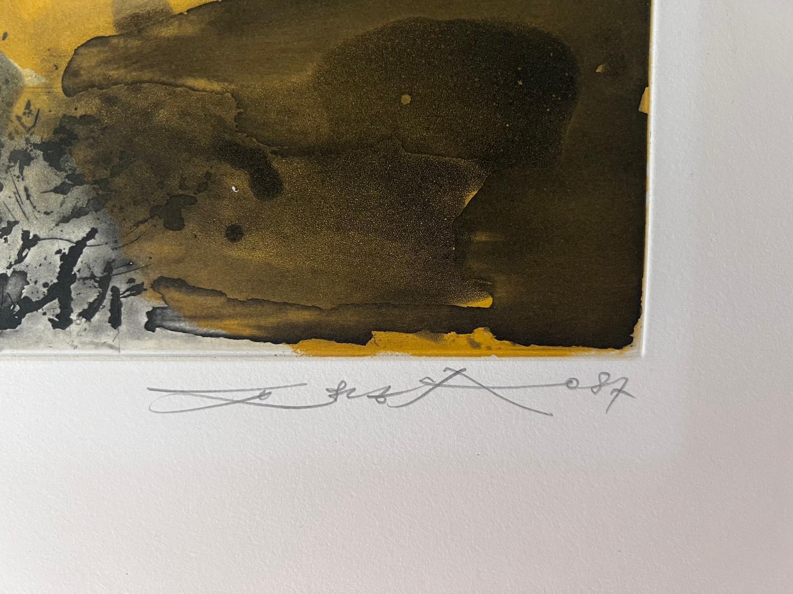 Aguafuerte y aguatinta, 1987
Firmado a lápiz por el artista y numerado 19/99
Impresor : Atelier Lacourière et Frélaut (París)
Catálogo : [Agerup 333, p. 185]
57,00 cm. x 76,00 cm.  22,44 pulg. x 29,92 pulg. (papel)
38.50 cm. x 53.60 cm.  15,16 pulg.