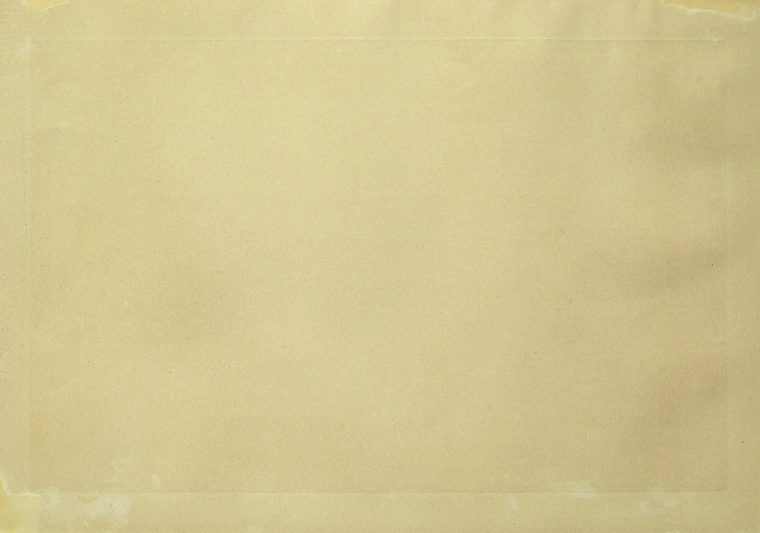 Zao Wou-Ki 趙無極 (1920–2013) – Flore et Faune – Etching on paper – 1951 For Sale 3