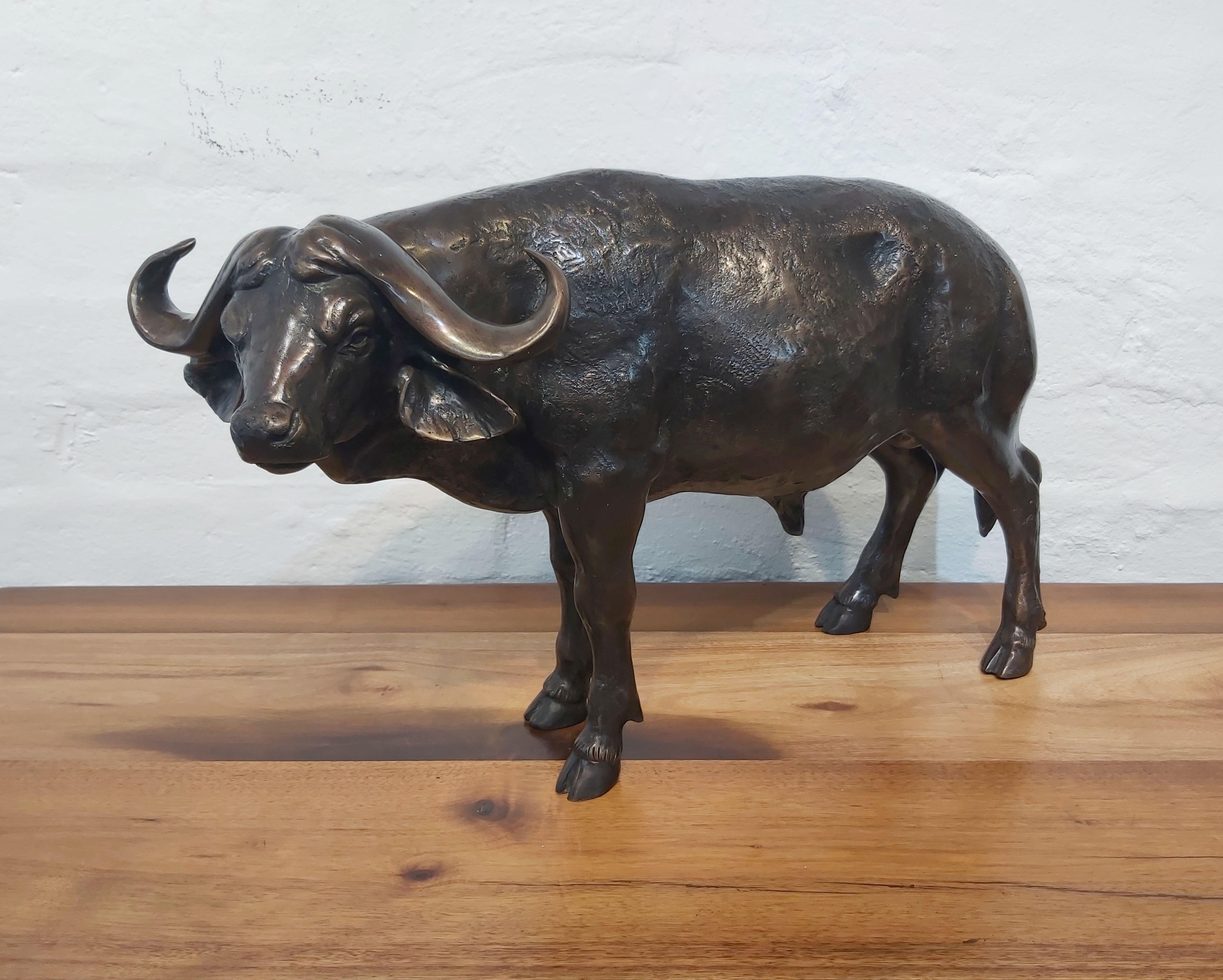 Bronzeskulptur aus Buffalo im Angebot 1