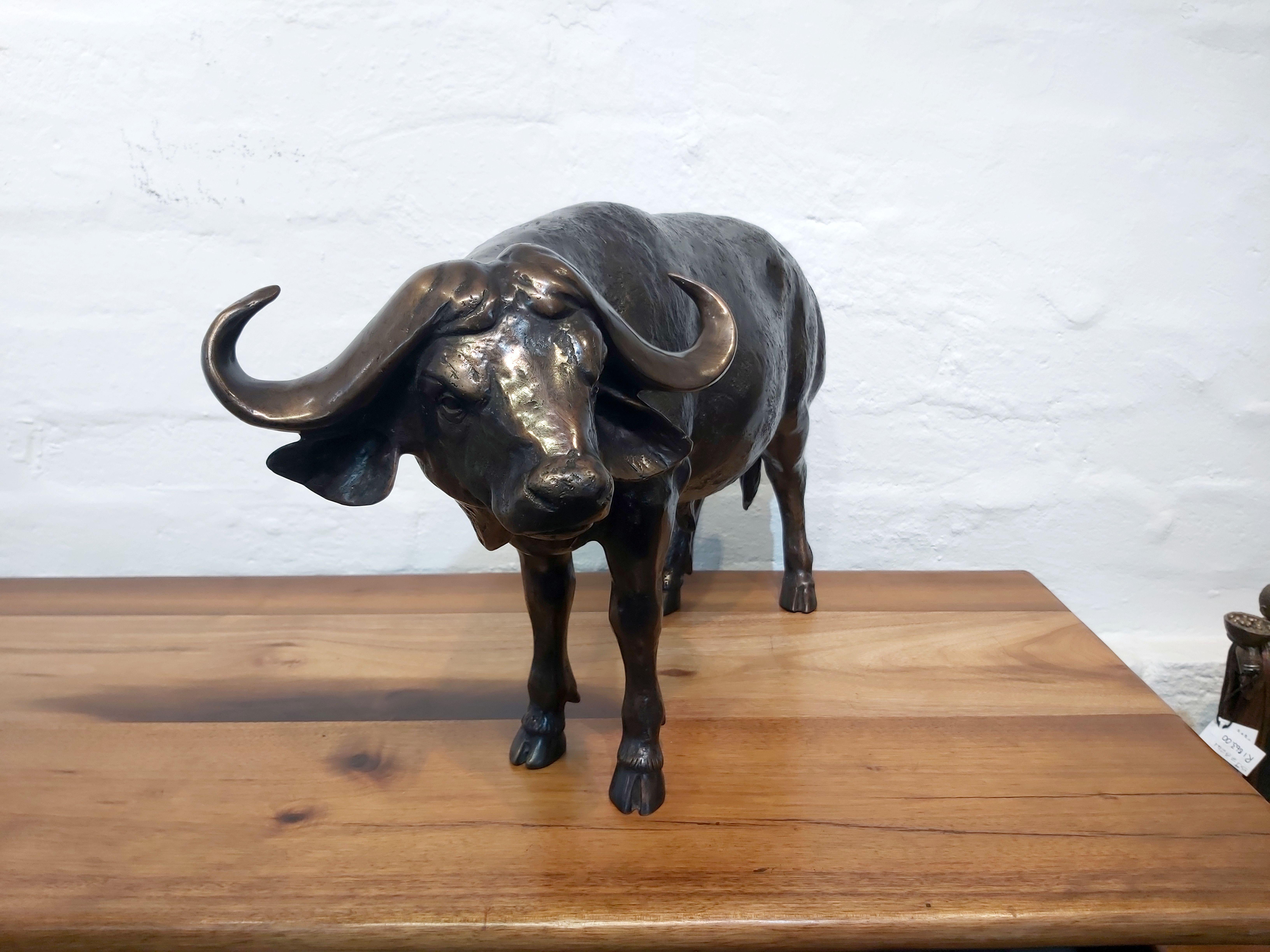 Bronzeskulptur aus Buffalo im Angebot 2