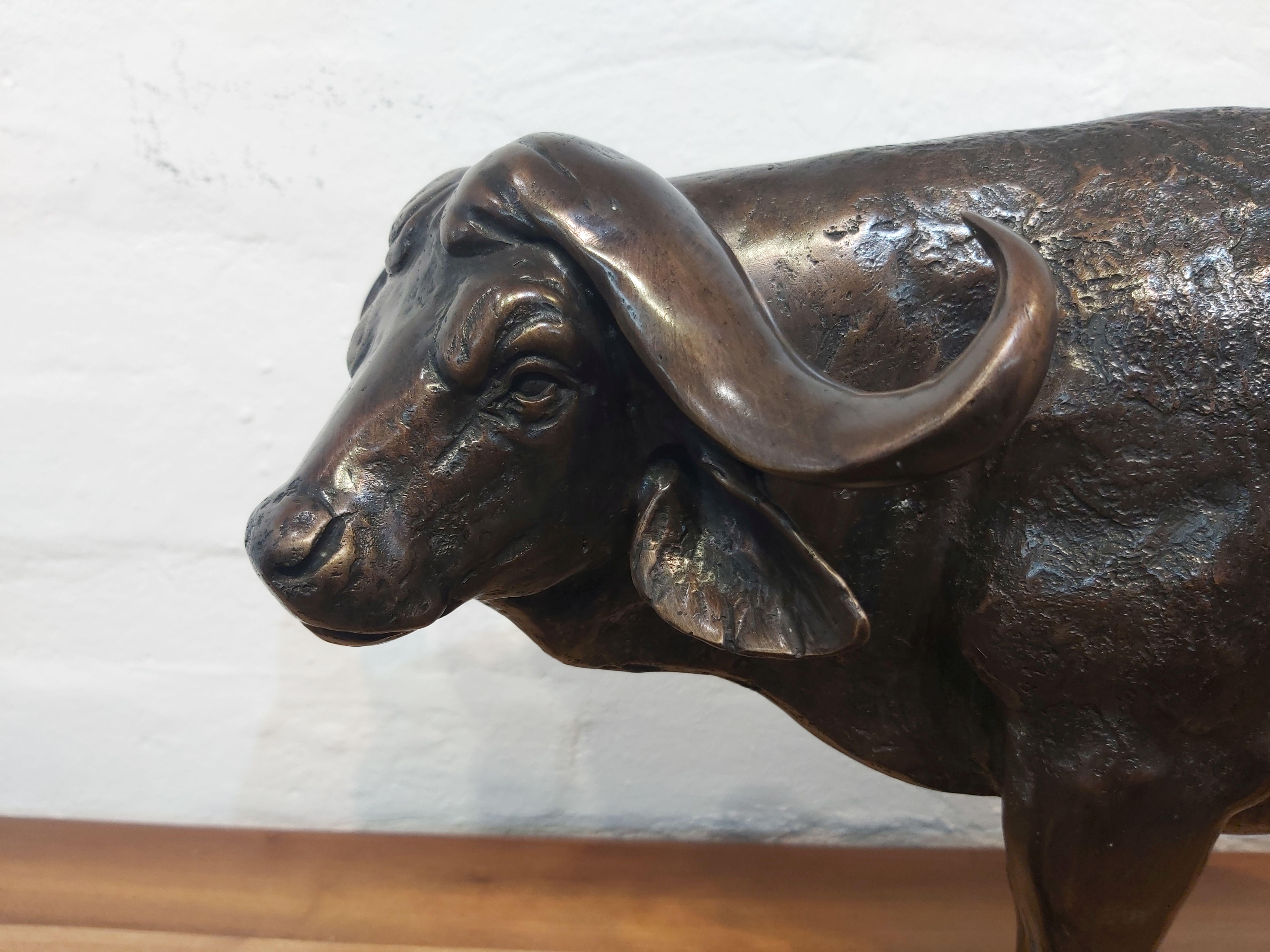 Bronzeskulptur aus Buffalo im Angebot 3