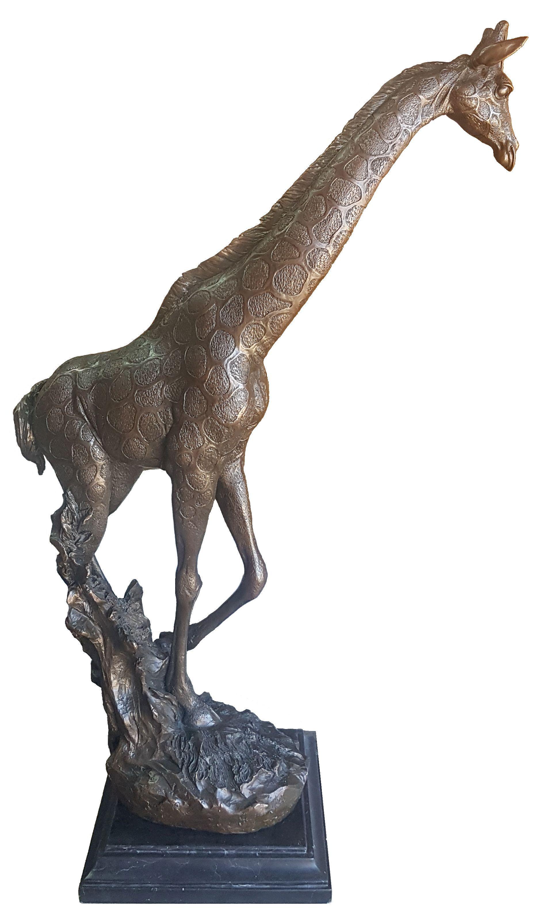 Giraffes grow to nearly their full height of 5,5mt (18ft) by four years of age but gain weight until they are seven or eight. Males weigh up to 1,930 kg (4,250 pounds), females up to 1,180 kg (2,600 pounds).
They can reach speeds of 50 km (31 miles)