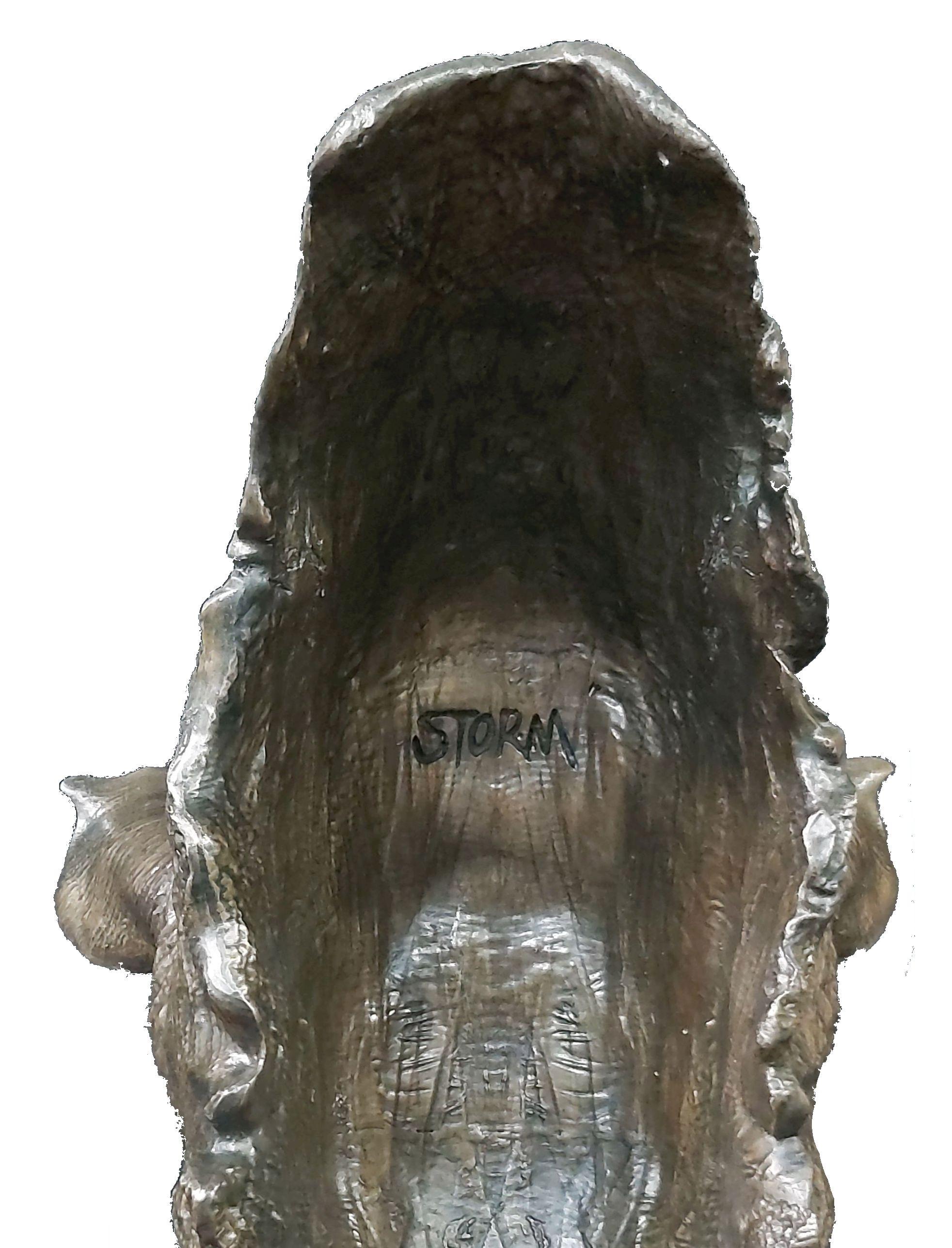 This bronze rhino head sculpture has been dedicated to celebrate “Storm”. Storm is an orphan rhino, raised in captivity. “Storm” and “Wyntir” were orphaned when poachers killed their respective mothers while they were still very young calves. Wyntir