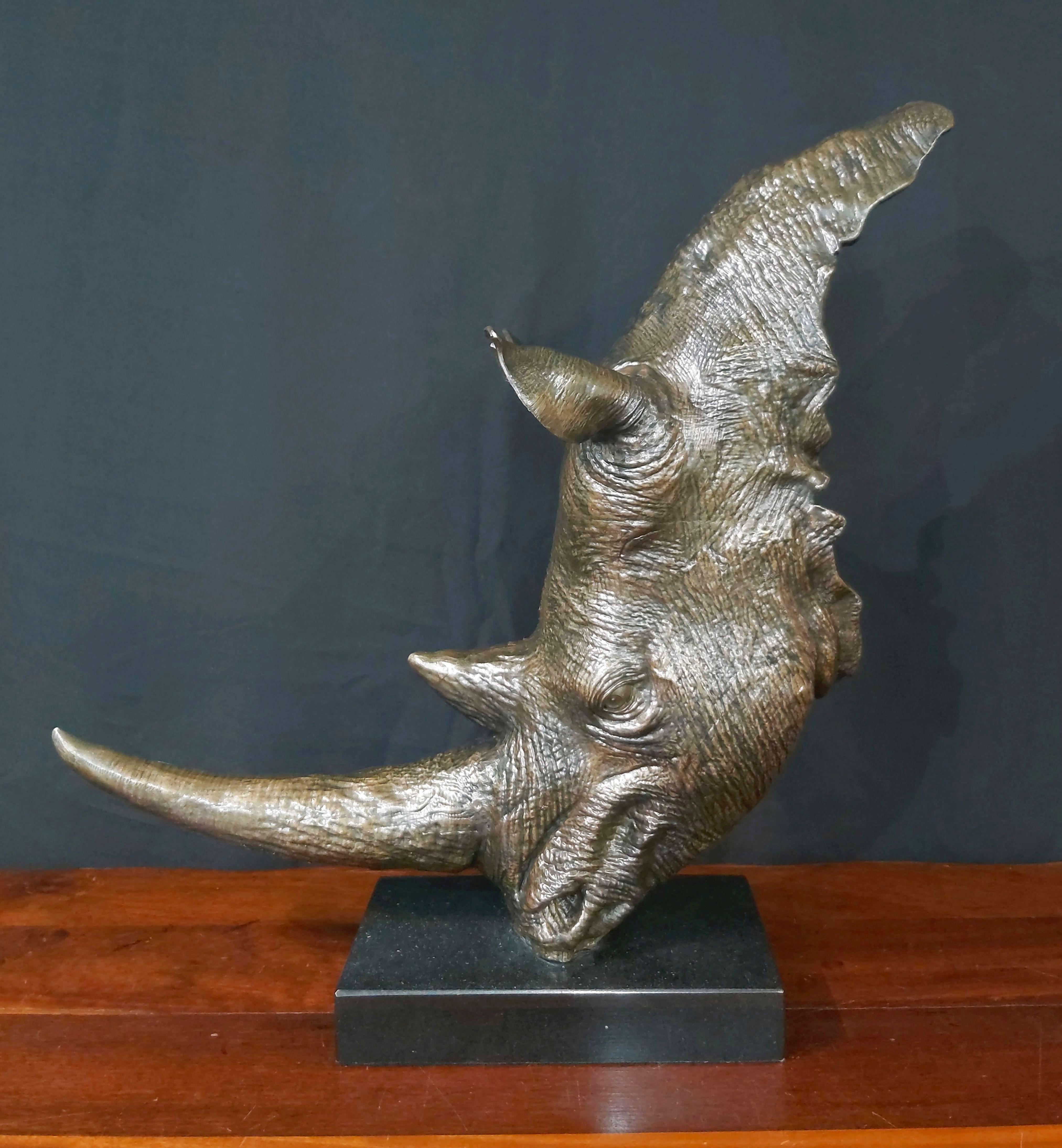 Rhino head bronze For Sale 1