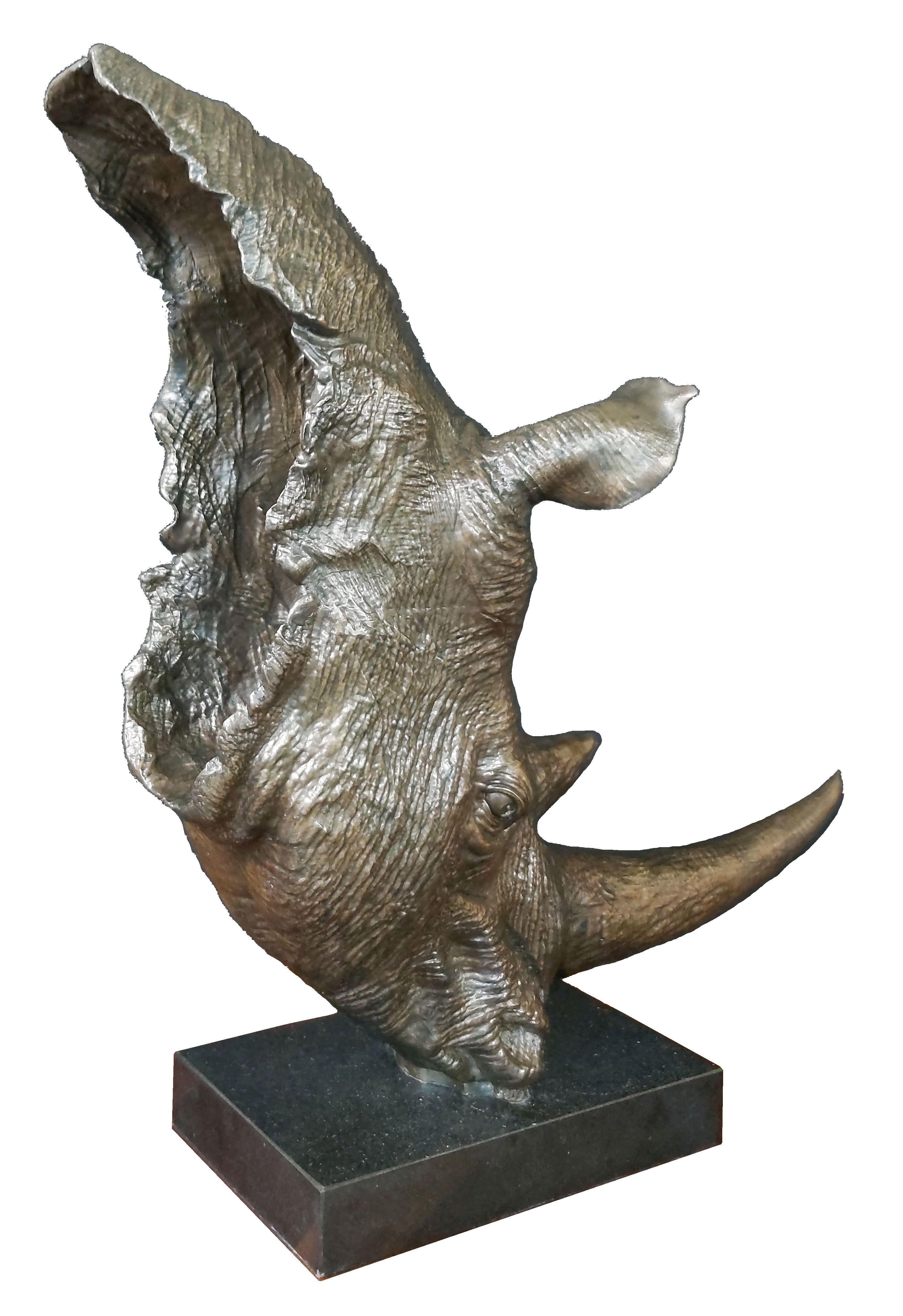 Rhino head bronze For Sale 2