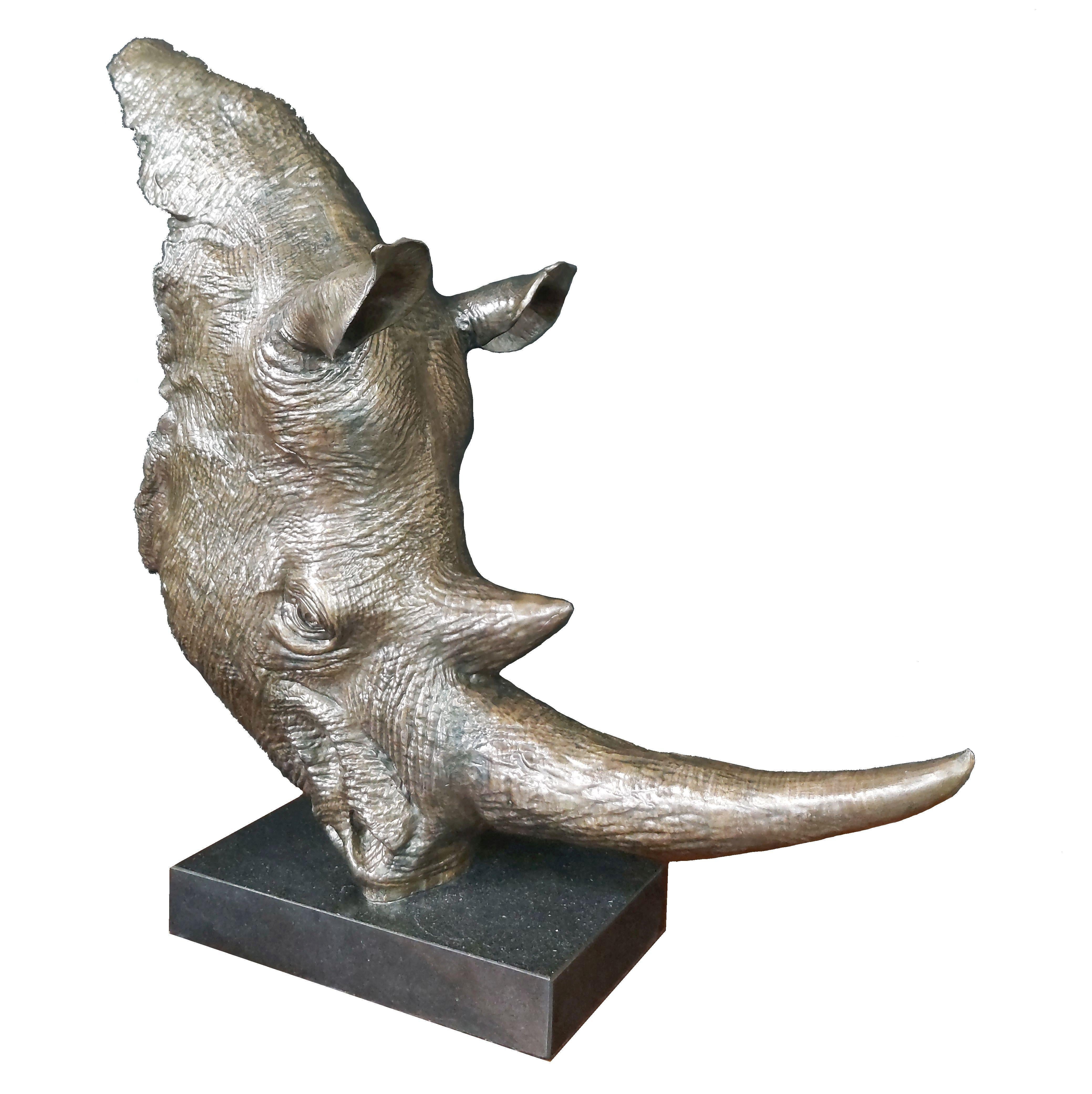 Rhino head bronze For Sale 3
