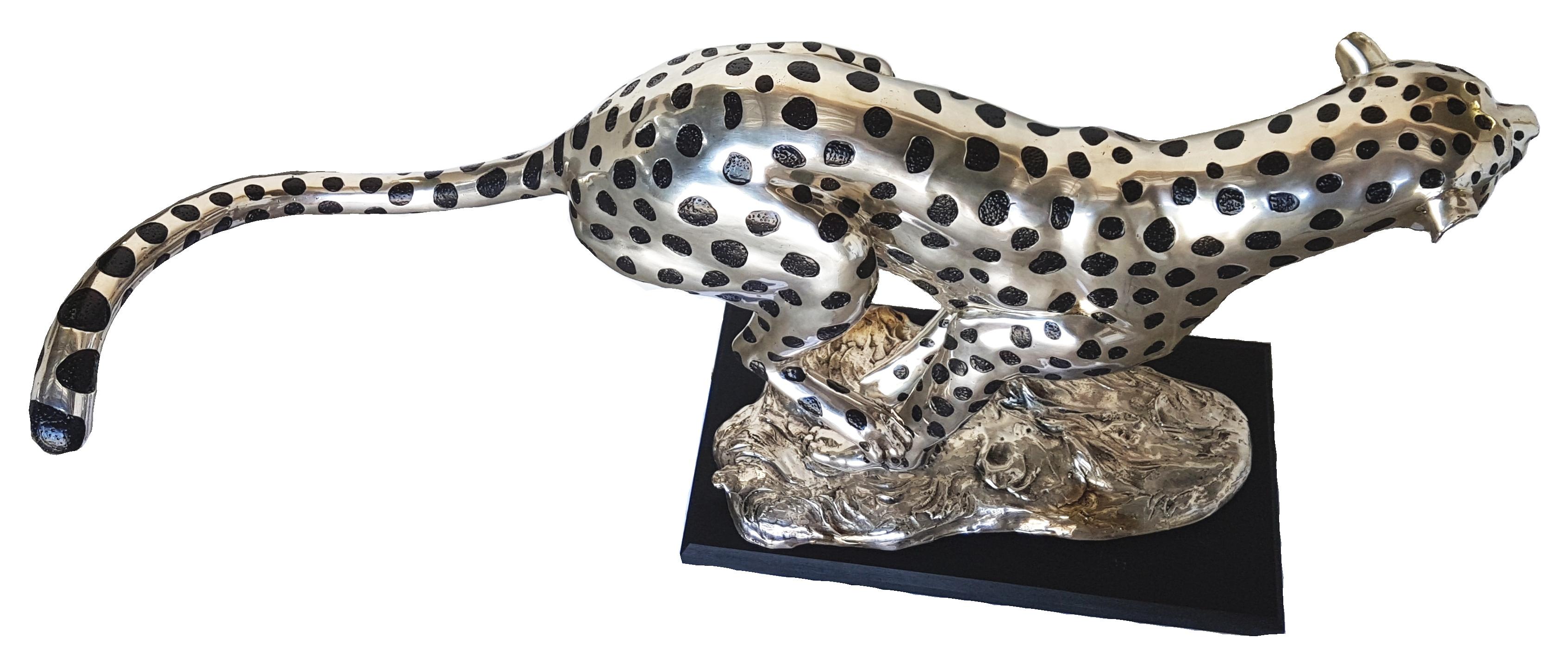 Nuestro guepardo plateado es una pieza para compradores exigentes, que aporta un nivel de sofisticación y atractivo, para el hogar ideal. La escultura se funde primero en bronce y luego se platea. Utilizamos la técnica de fundición a la 