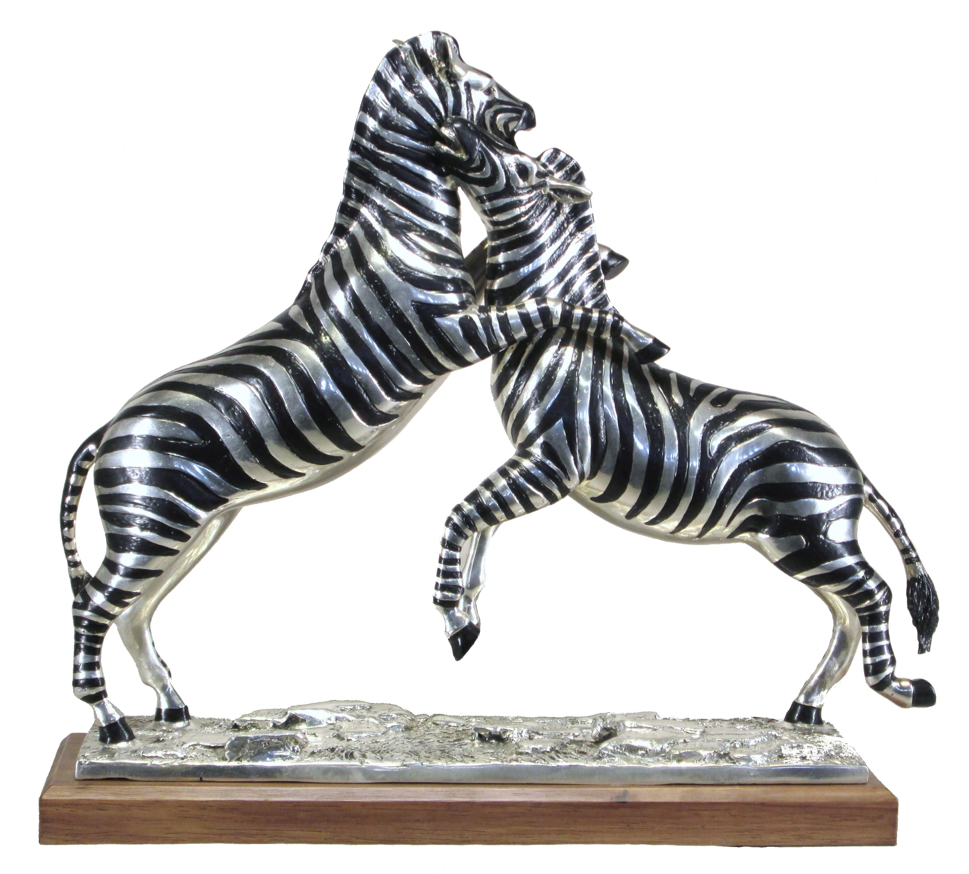 Zebras fighting