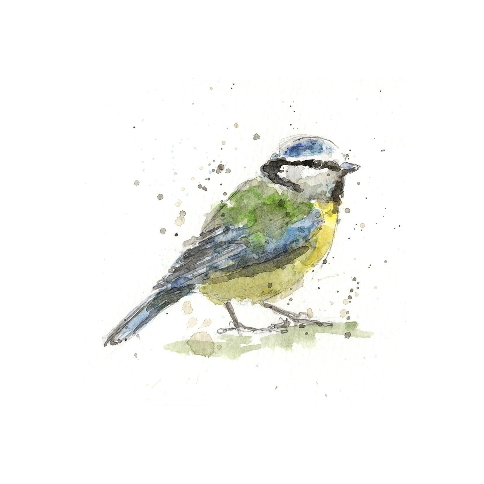 Blue Tit and Great Tit Diptych - Print by Zaza Shelley