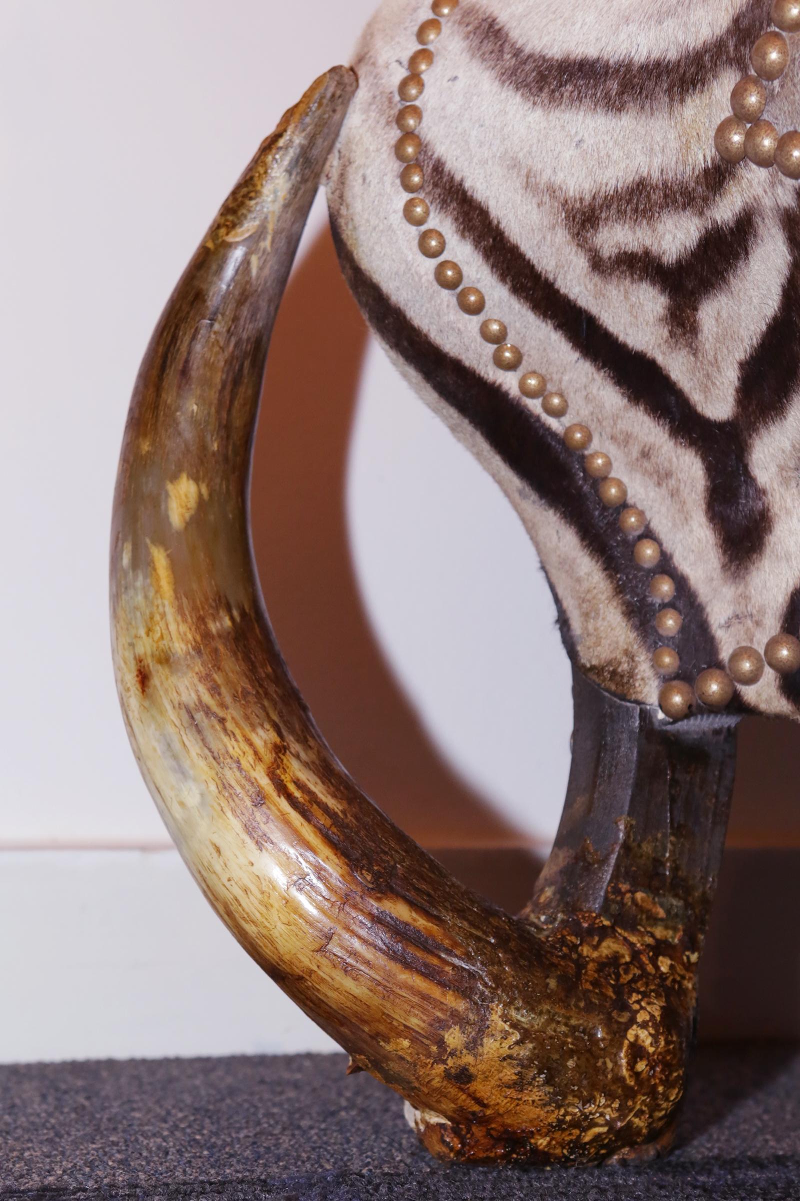 Cassettiera Zebra e Alce in vendita 2