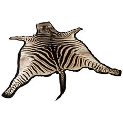 Zebra Area Rug, South Africa, Contemporary