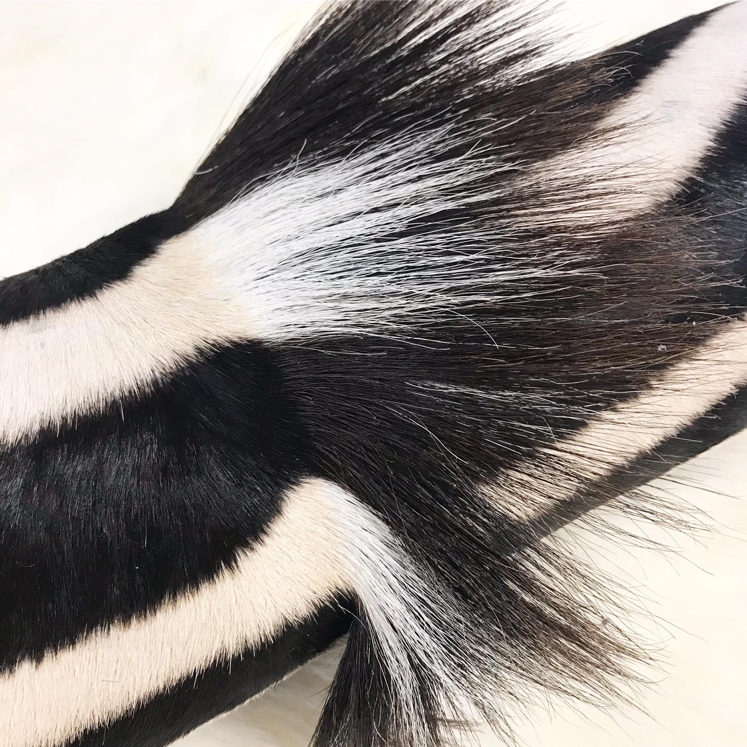 American Zebra Hide Bolster Pillow