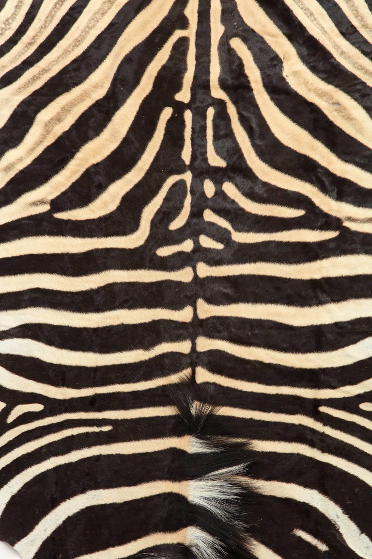 Zebra Hide In Excellent Condition In New York, NY