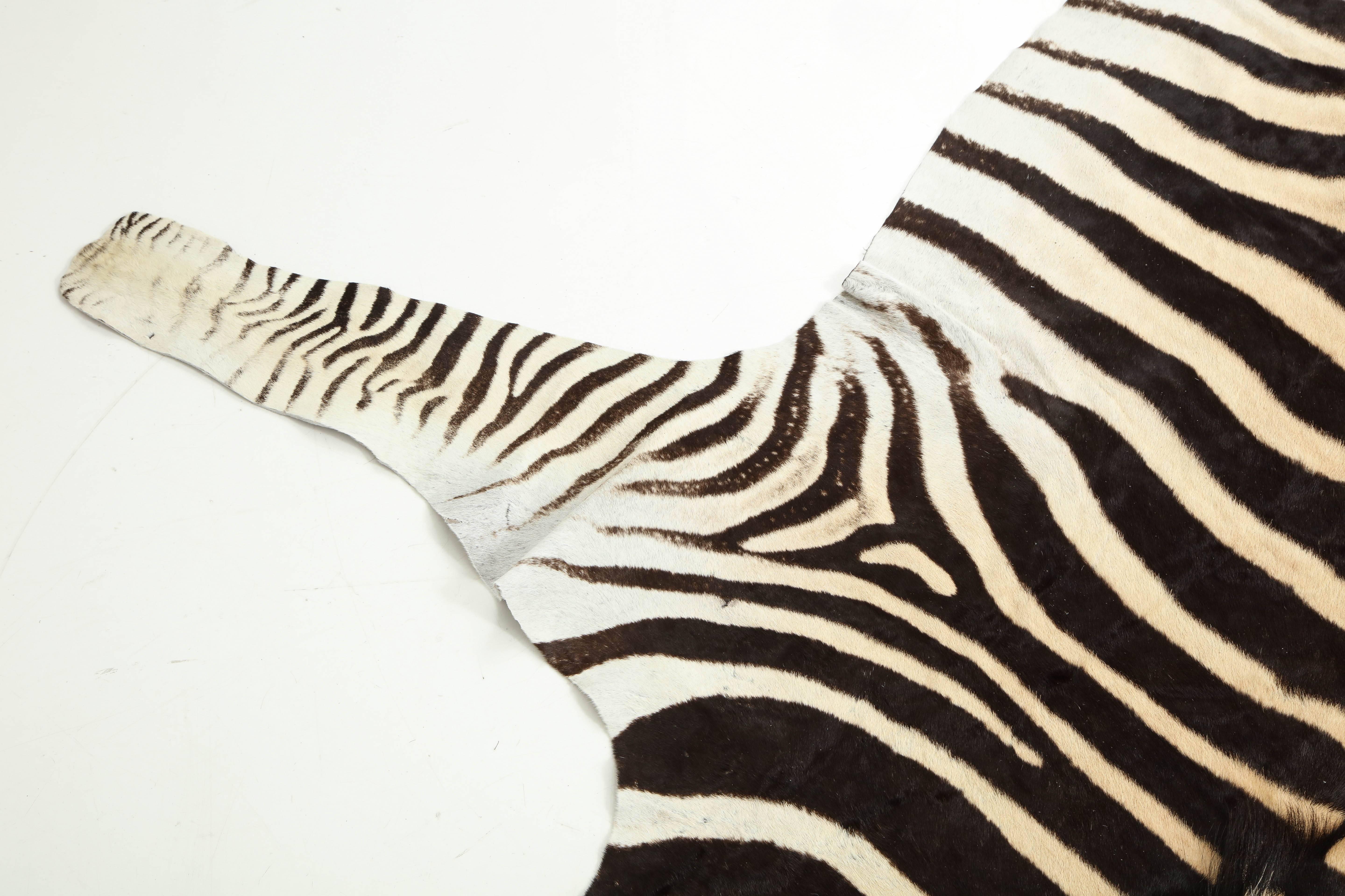 Zebra Hide 1