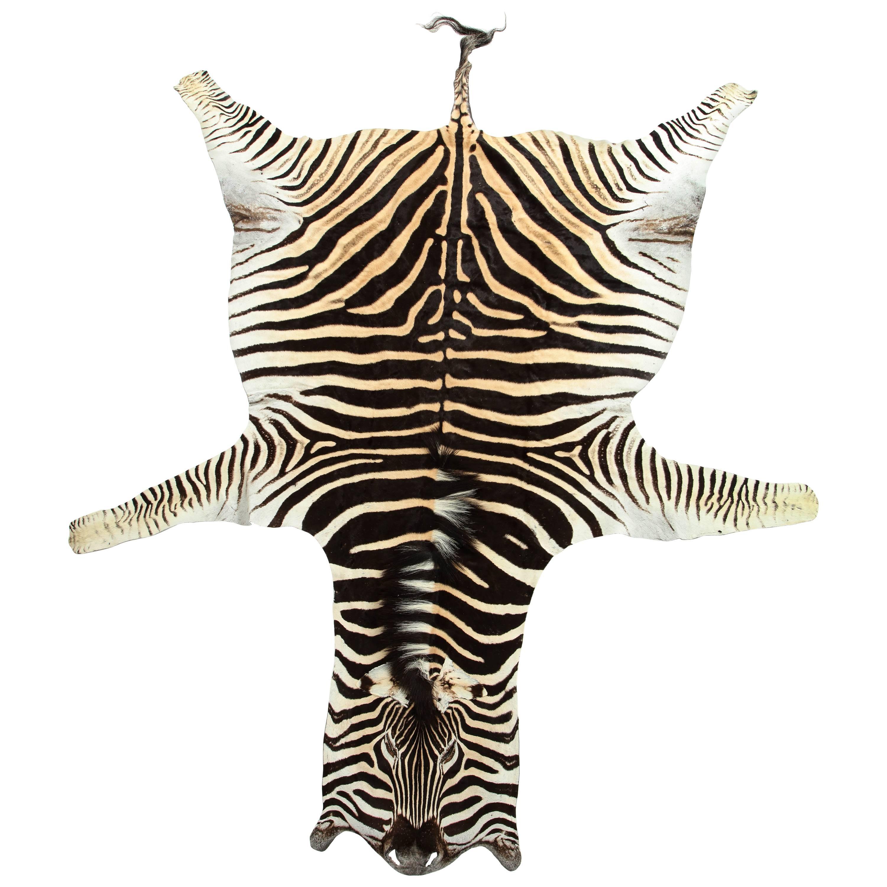 Zebra Hide