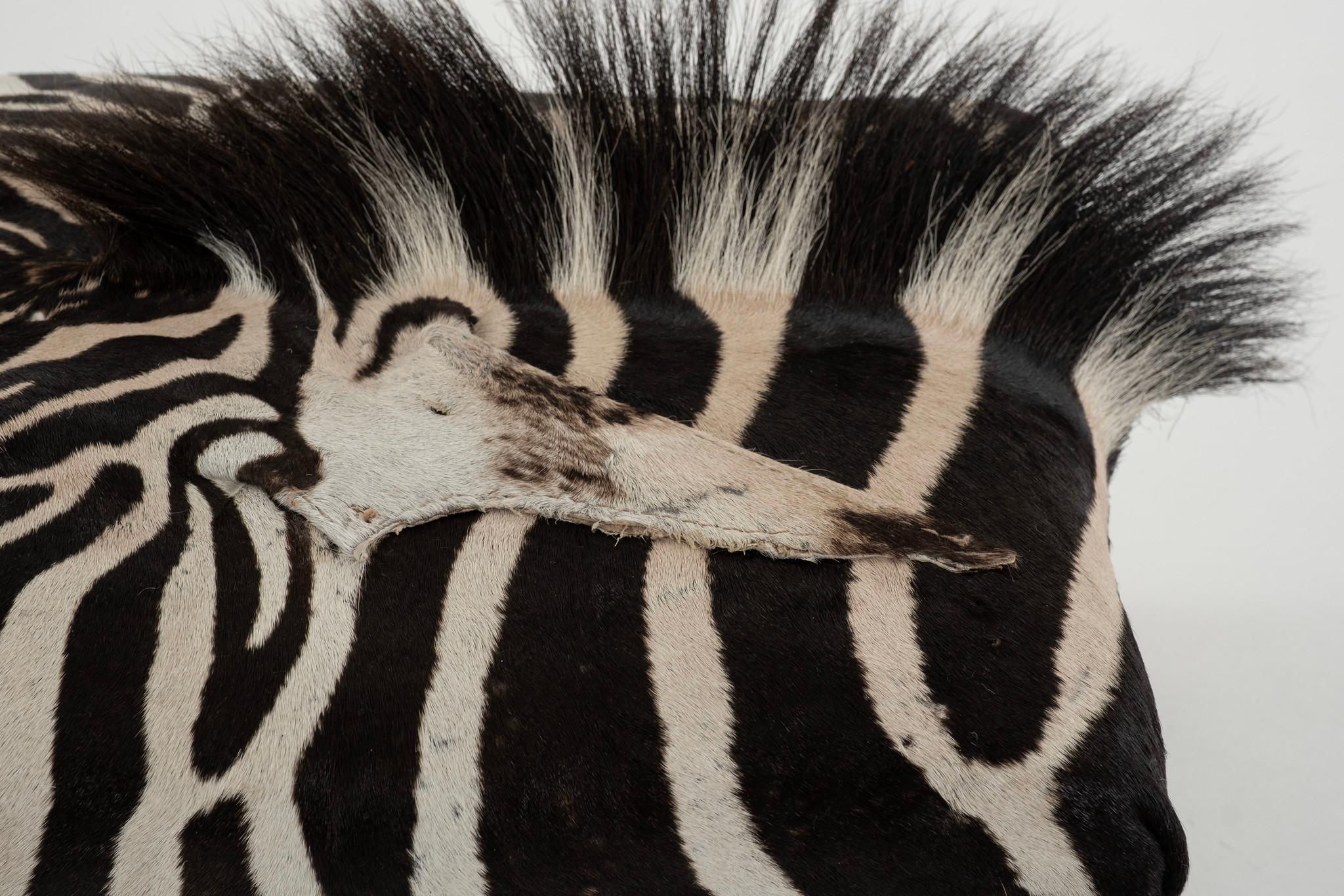 Zebra Hide French Foot Stool 5