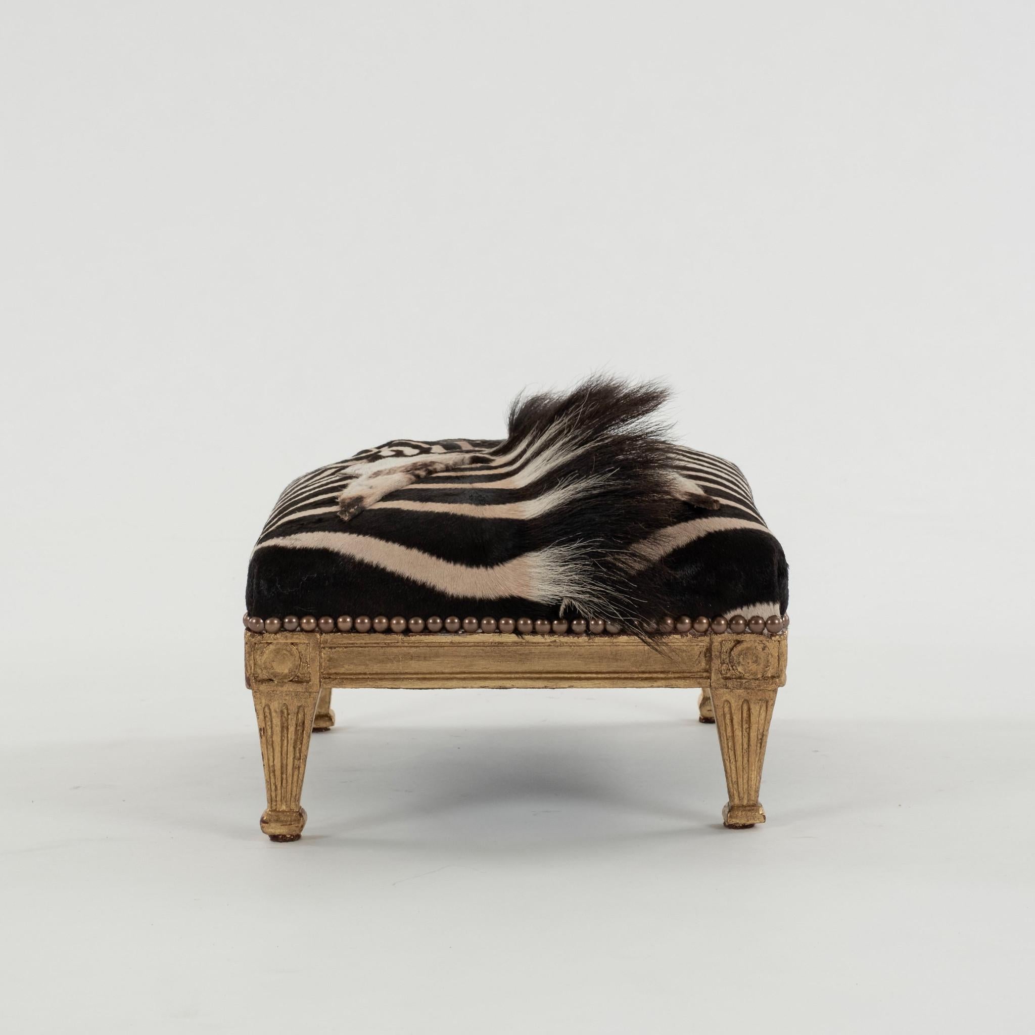 1920s or earlier French Directoire giltwood footstool upholstered zebra hide with nailhead detail.