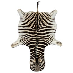 Zebra Hide Rug, Chocolate Brown from South Africa