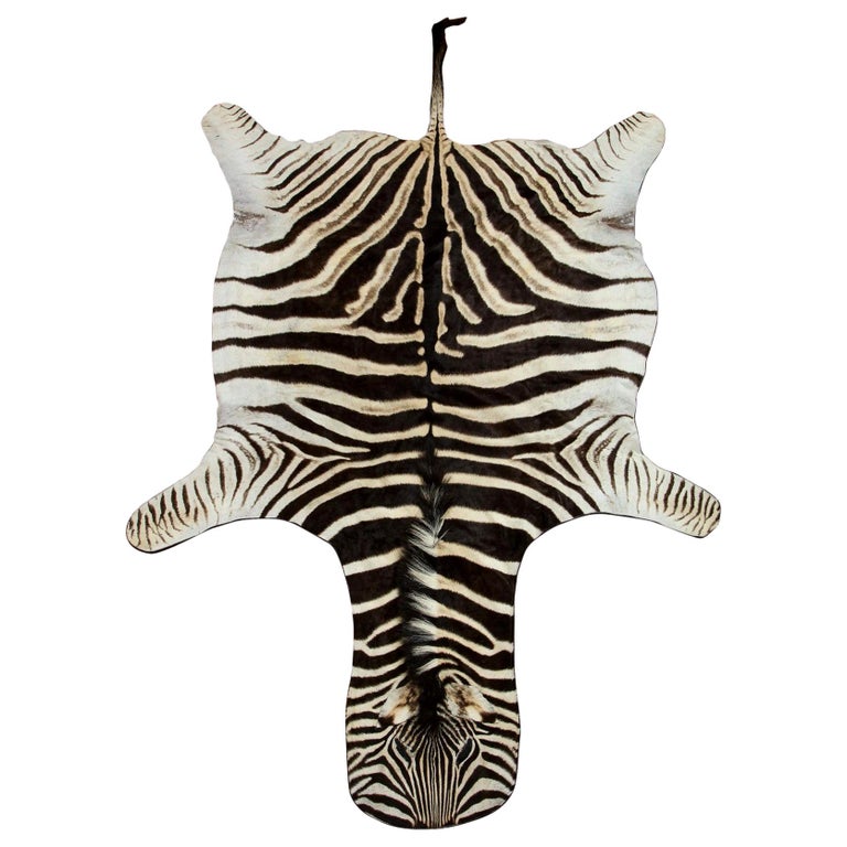 Zebra Hide Rug, Chocolate Brown from South Africa at 1stDibs