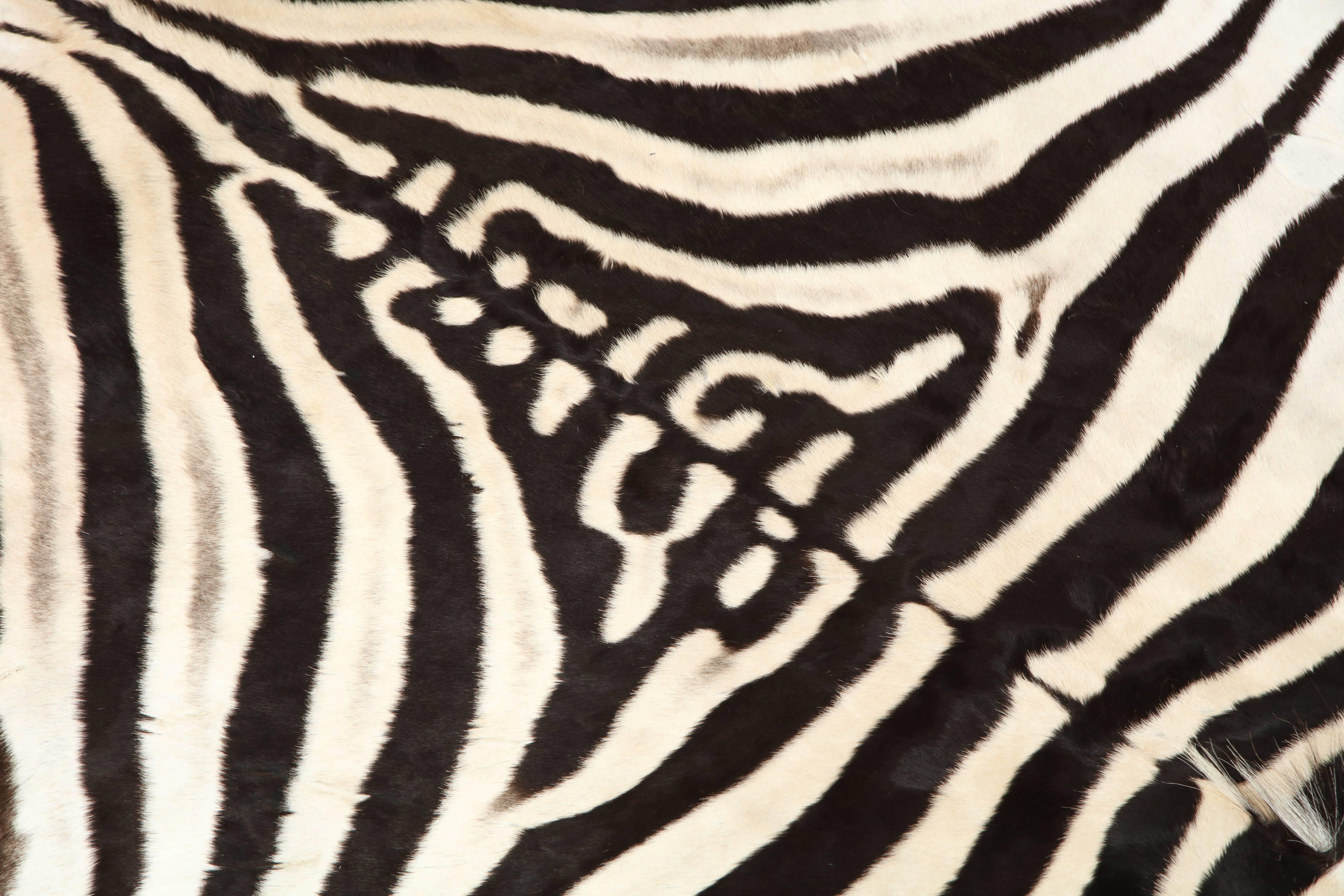 Zebra Hide Rug 3