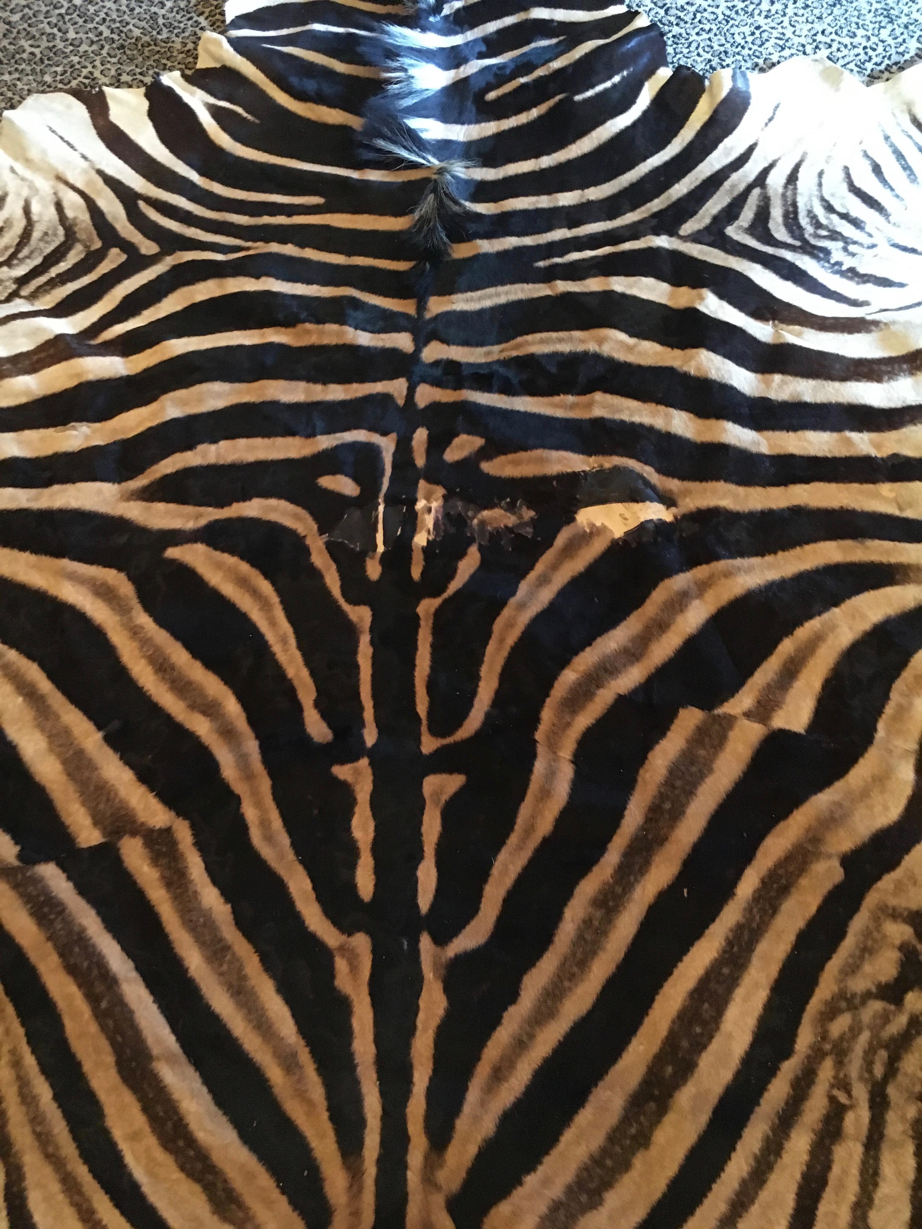 Handsome rug for any room or to use as upholstery or pillows - very large and in very good condition - Zebra rugs add depth and character to a room, the pattern is great way to add interest and intrigue into any environment.