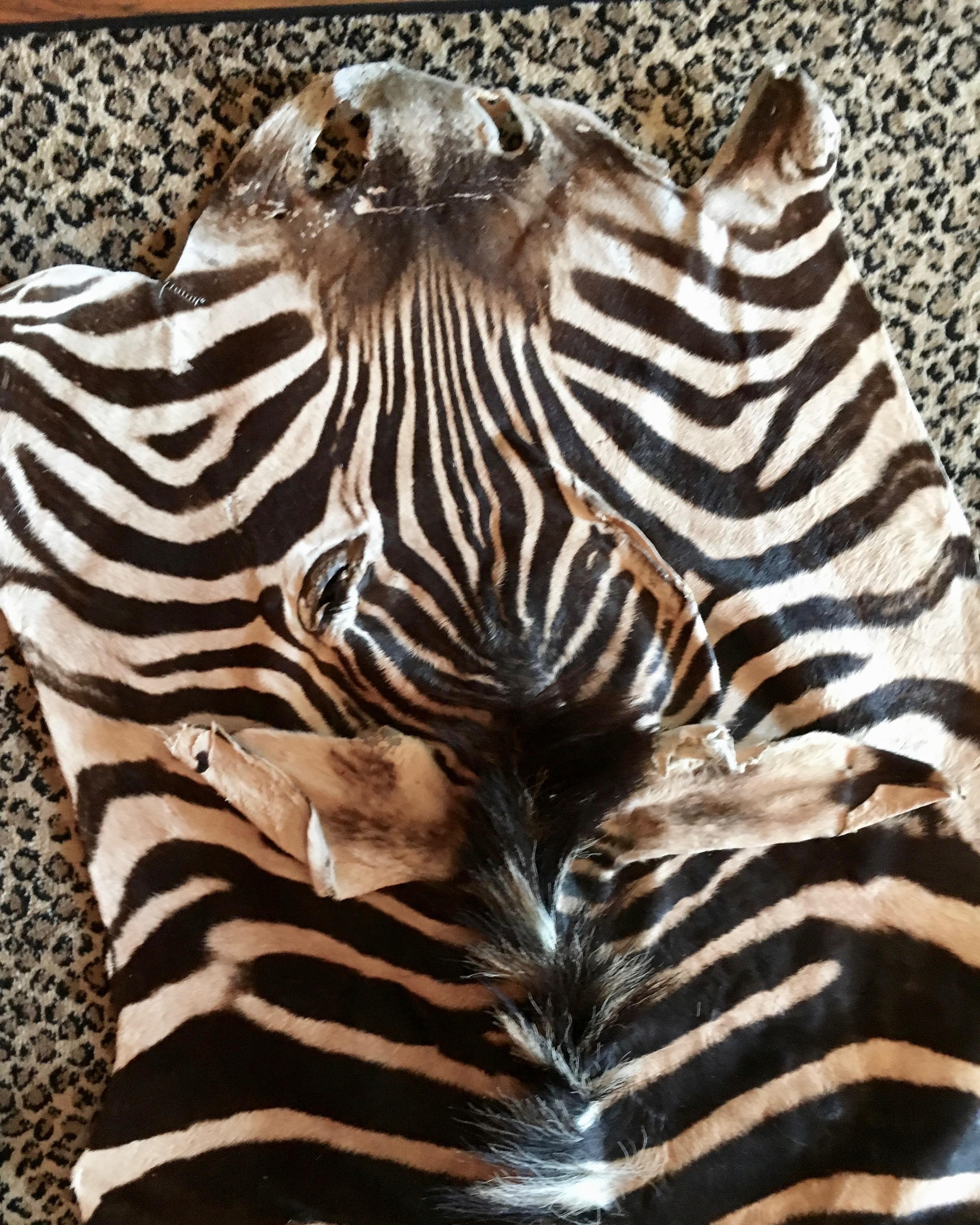 Mid-Century Modern Zebra Hide Rug