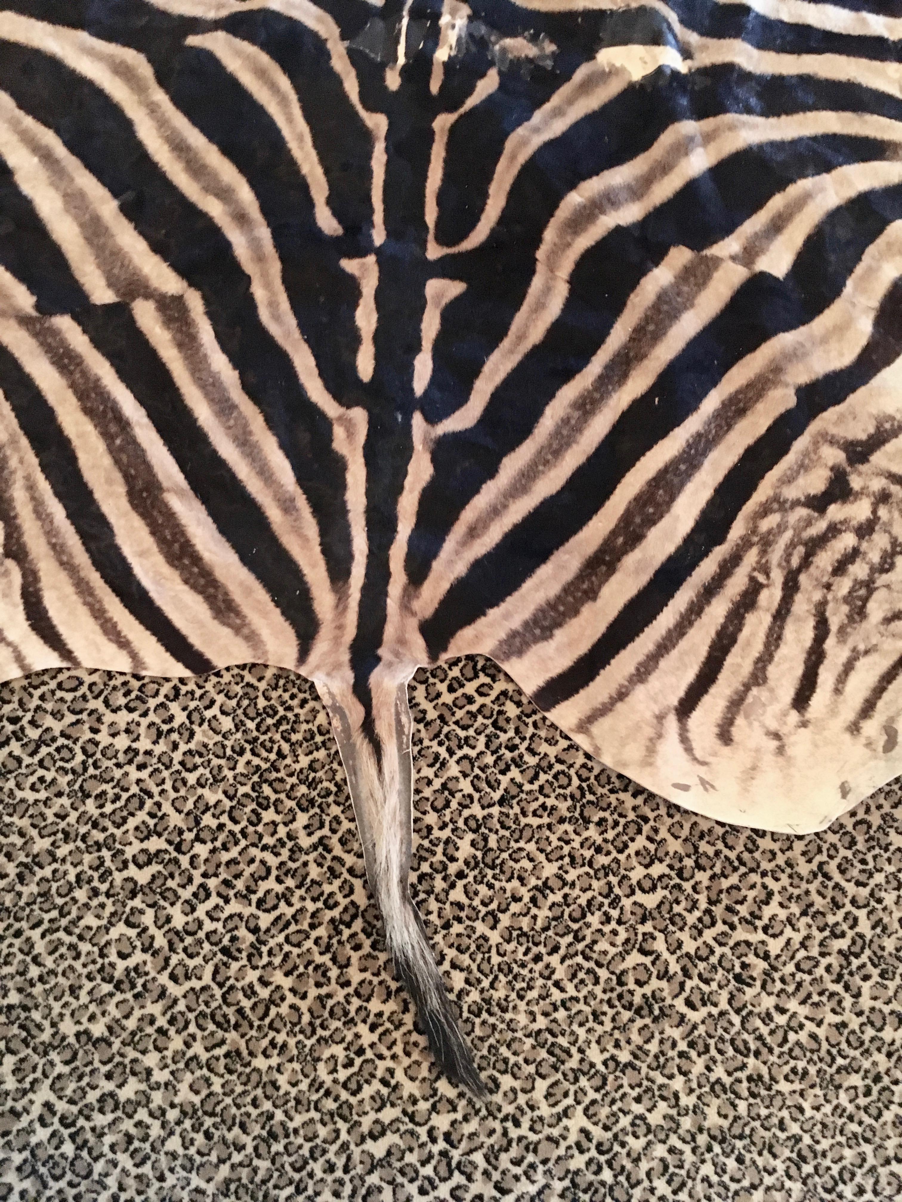 African Zebra Hide Rug
