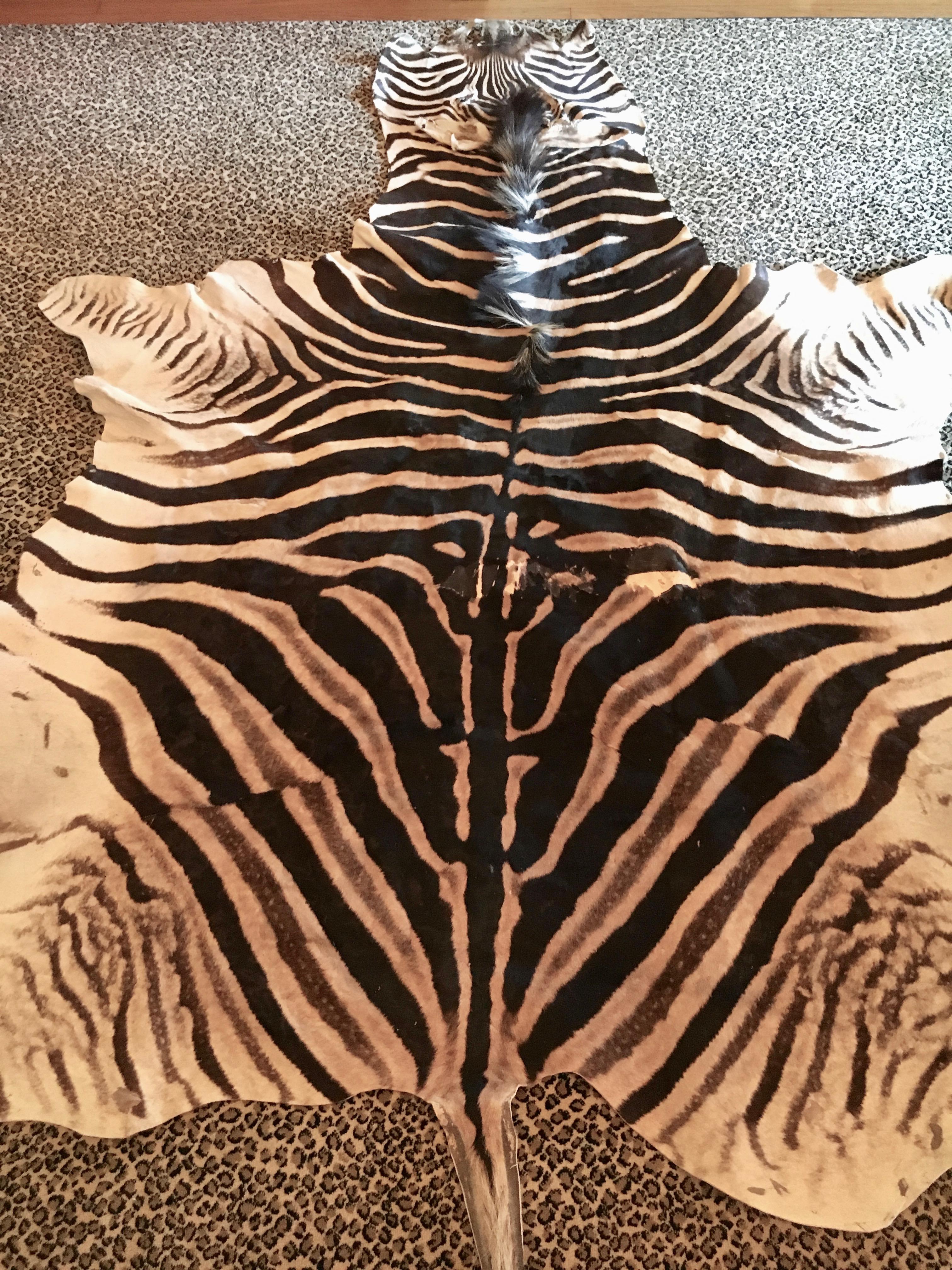Zebra Hide Rug In Excellent Condition In Los Angeles, CA