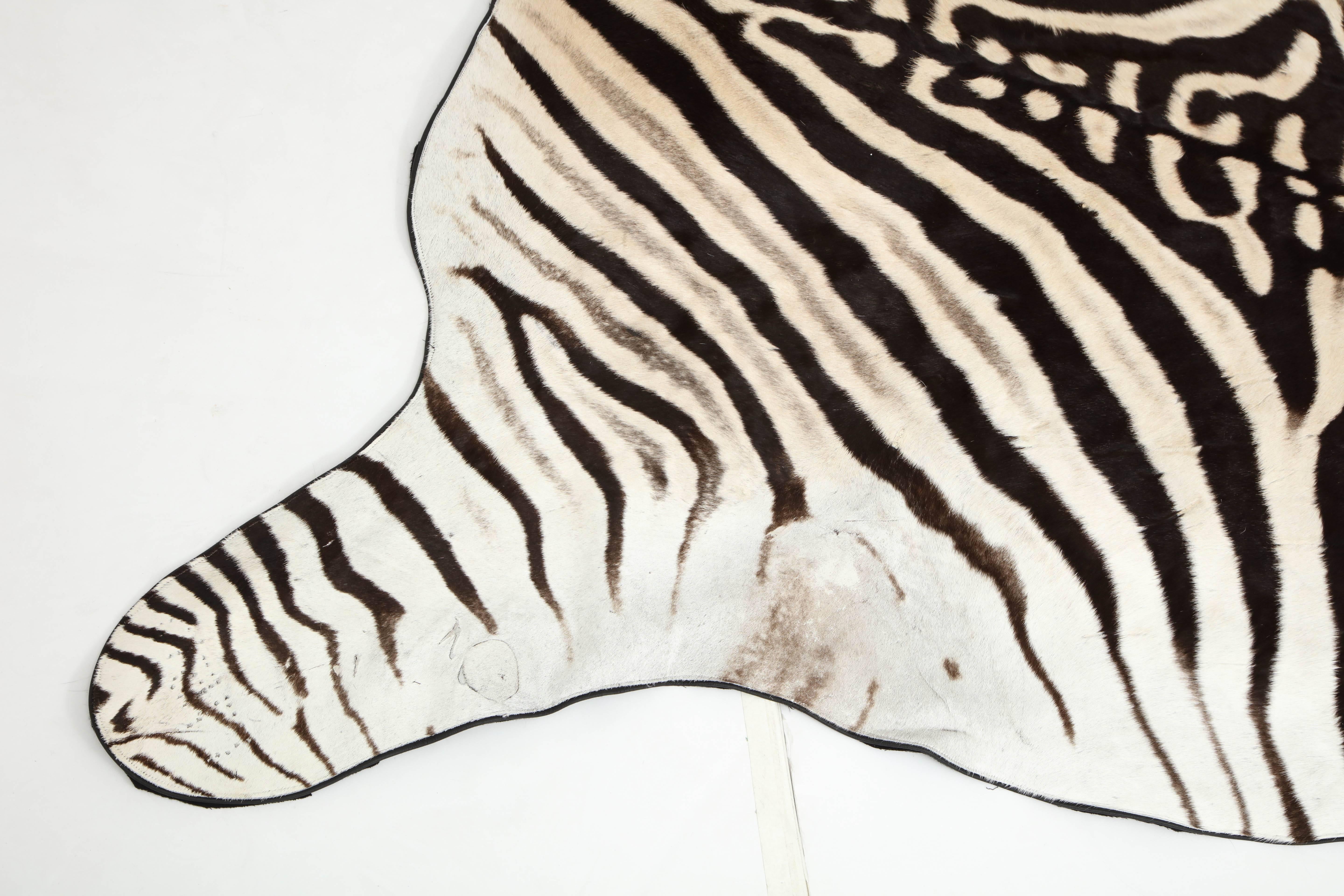 Contemporary Zebra Hide Rug