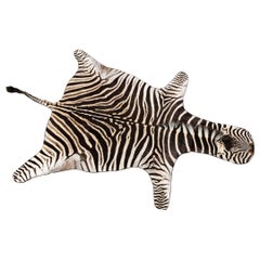 Zebra Hide Rug
