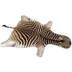 Zebra Hide Rug