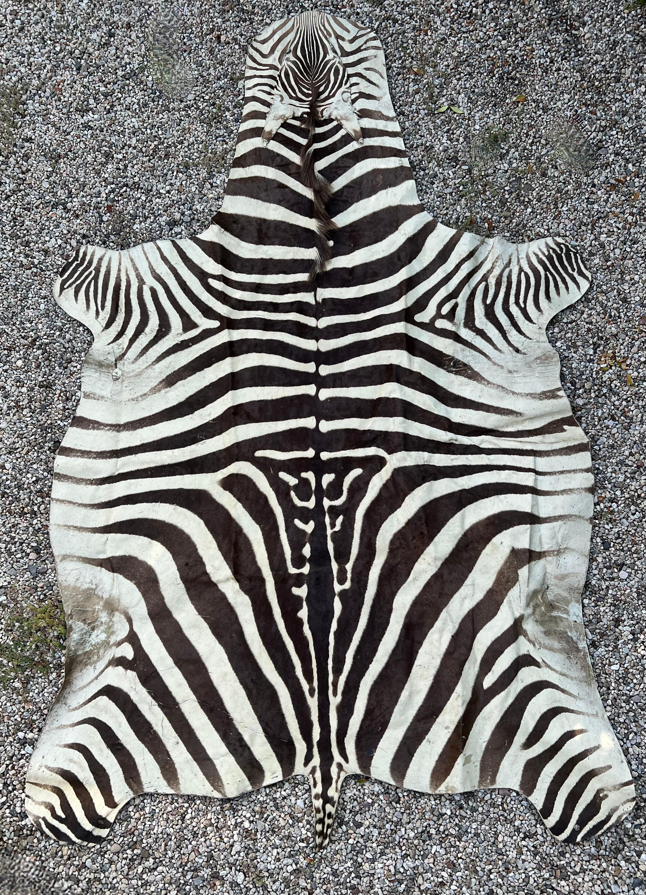 Ein wunderschöner Zebrafellteppich - ein Kompliment für viele Umgebungen und besonders für solche mit einem Ralph Lauren-Statement.  

Tierfelle bringen viel Energie in einen Raum, und das Design und die Muster fügen eine natürliche Aussage von