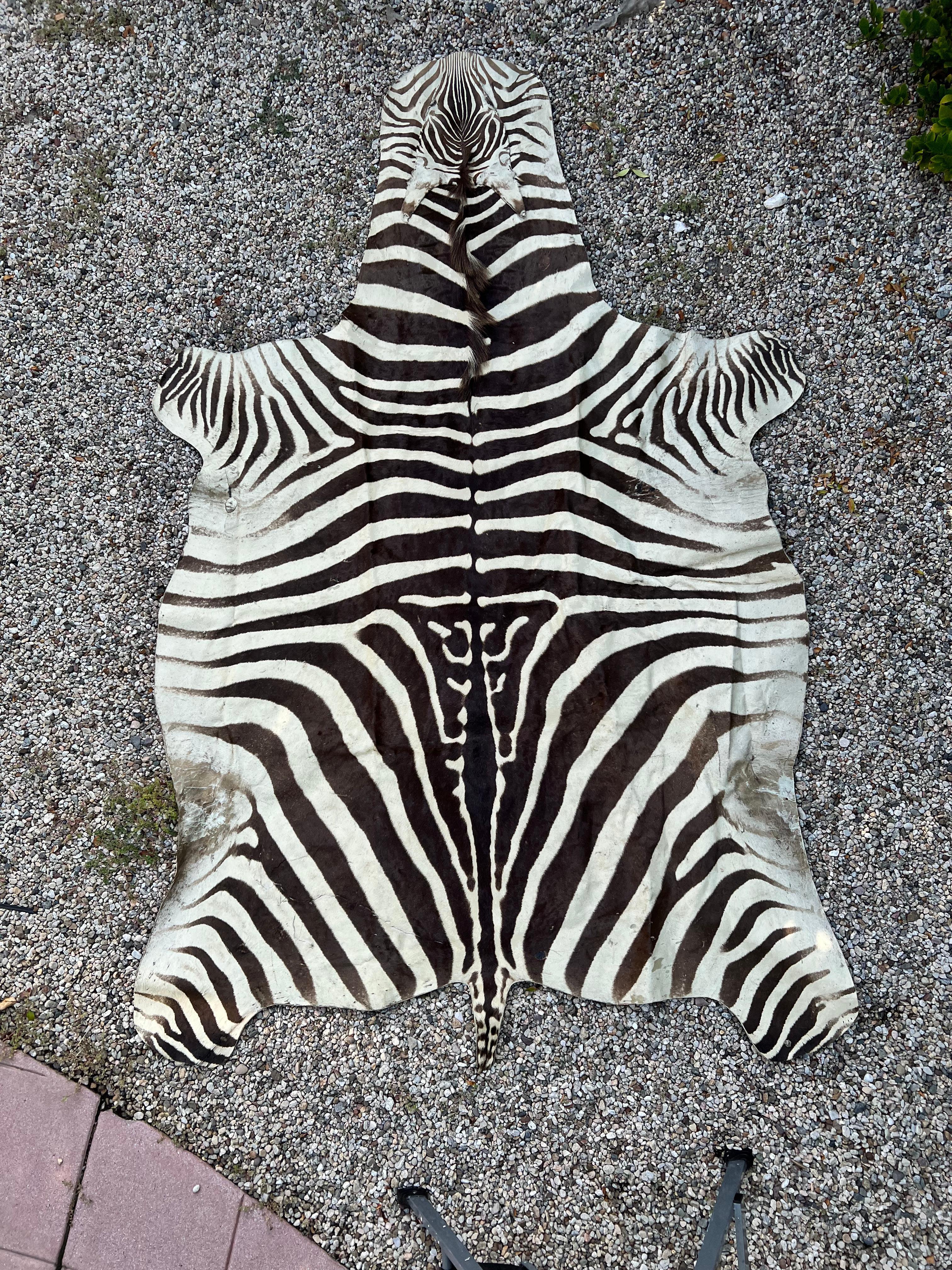 African Zebra Hide Rug in the Style of Ralph Lauren For Sale