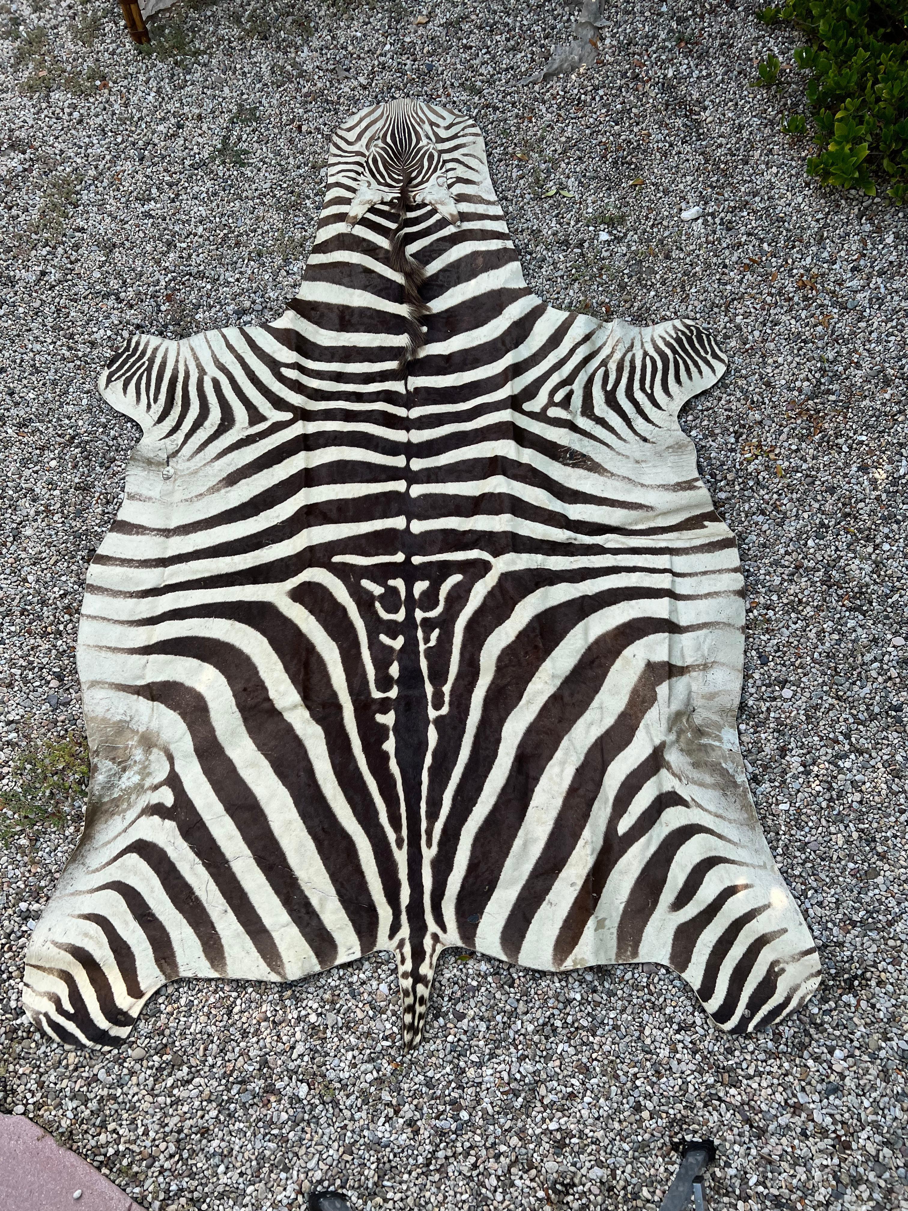 Patinated Zebra Hide Rug in the Style of Ralph Lauren For Sale