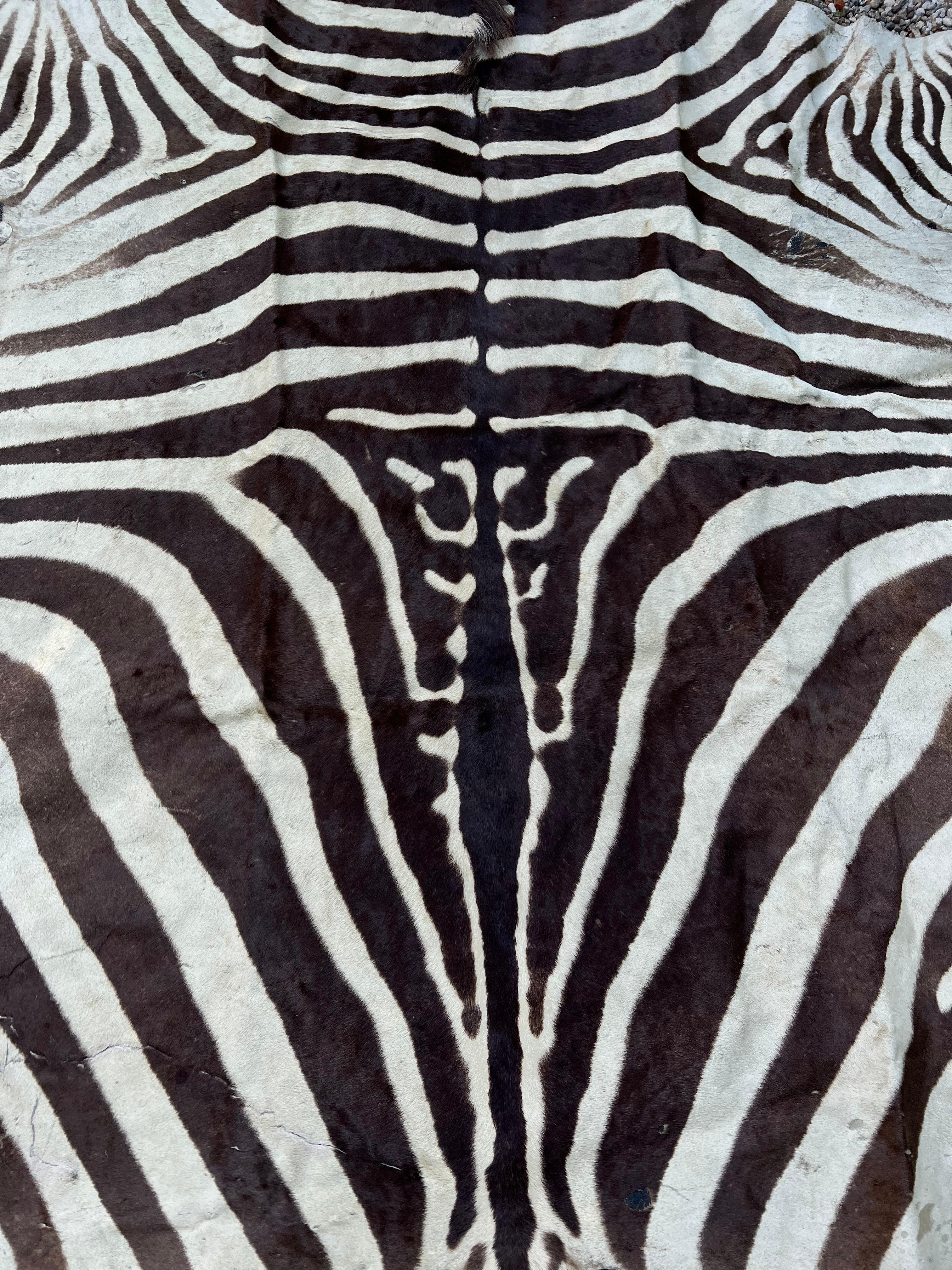 Zebra Hide Rug in the Style of Ralph Lauren In Good Condition For Sale In Los Angeles, CA