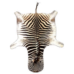 Zebra Hide Rug, South Africa, Wool Felt Backed with Leather Trim, New Zebra Hide