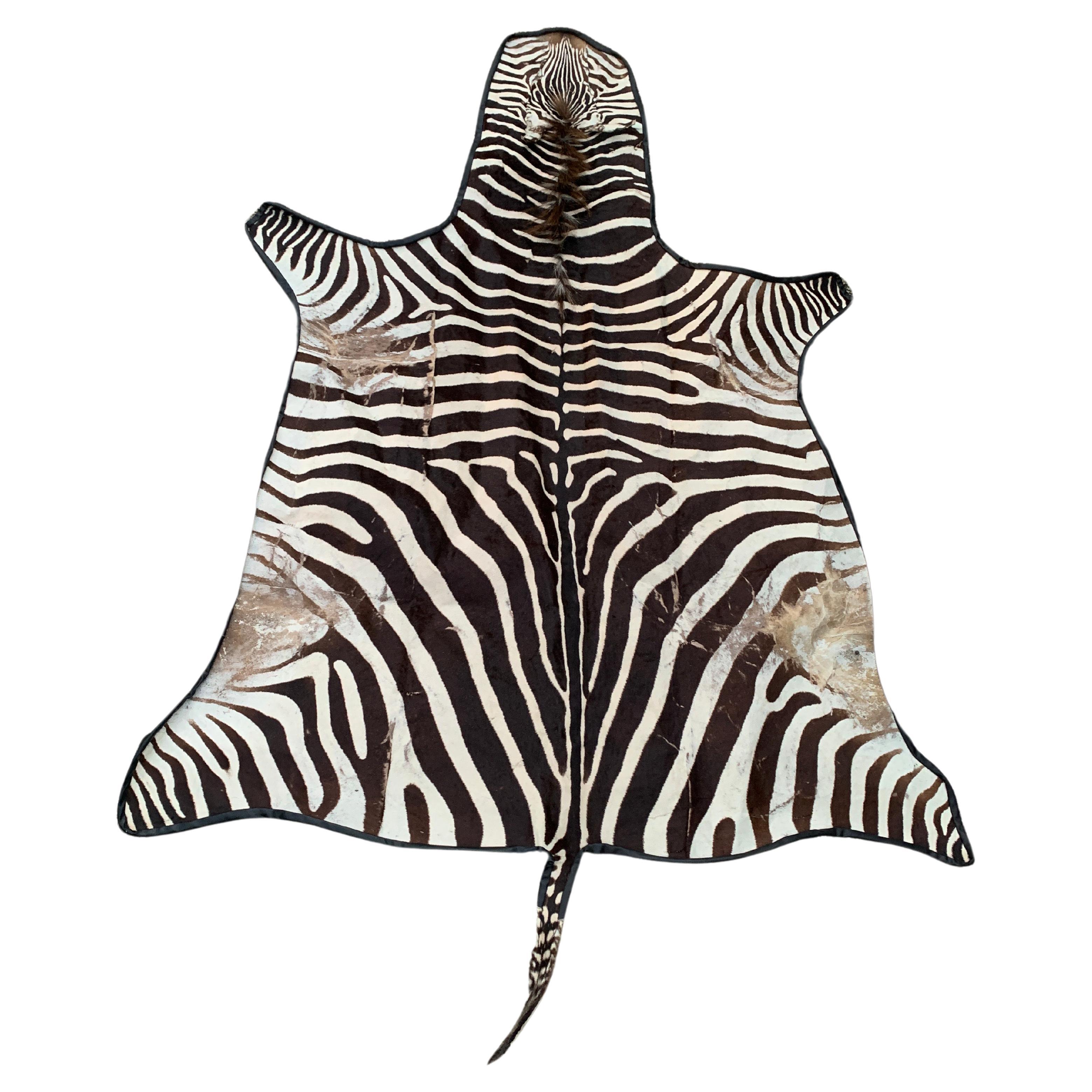 Authentic Vintage Felt Backed Zebra Hide Rug at 1stDibs